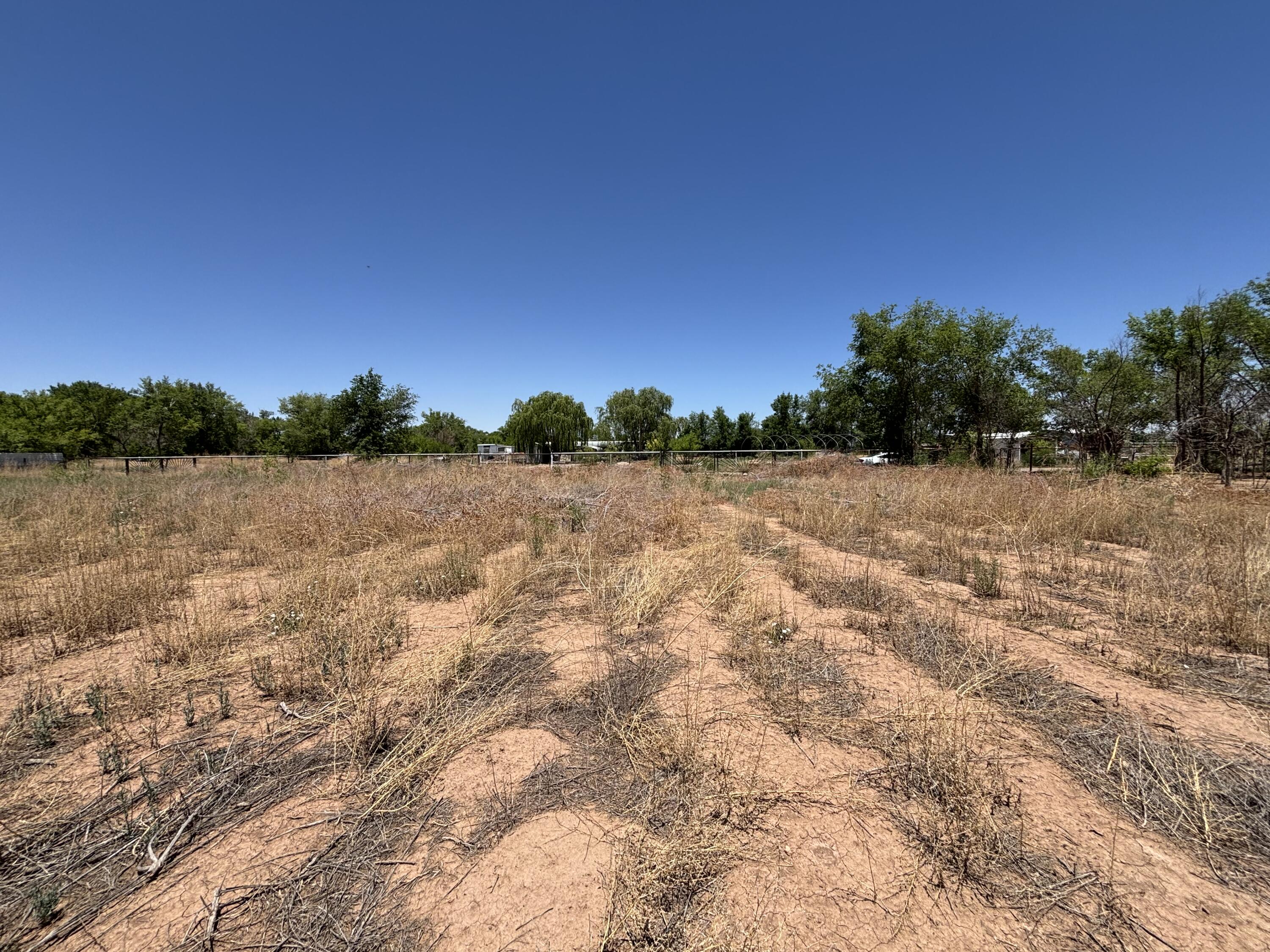 Photo 4 —  Romero Road