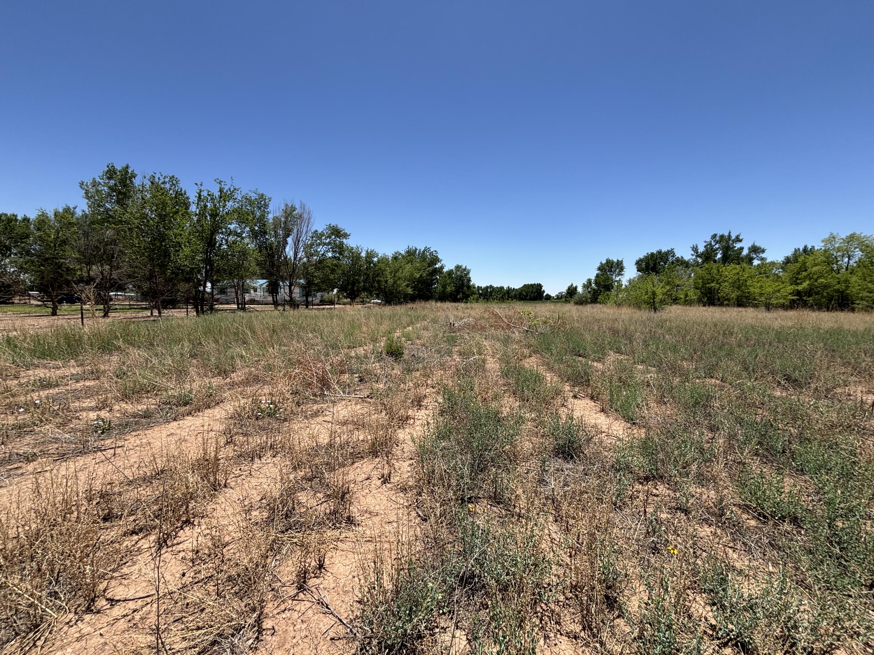 Photo 3 —  Romero Road