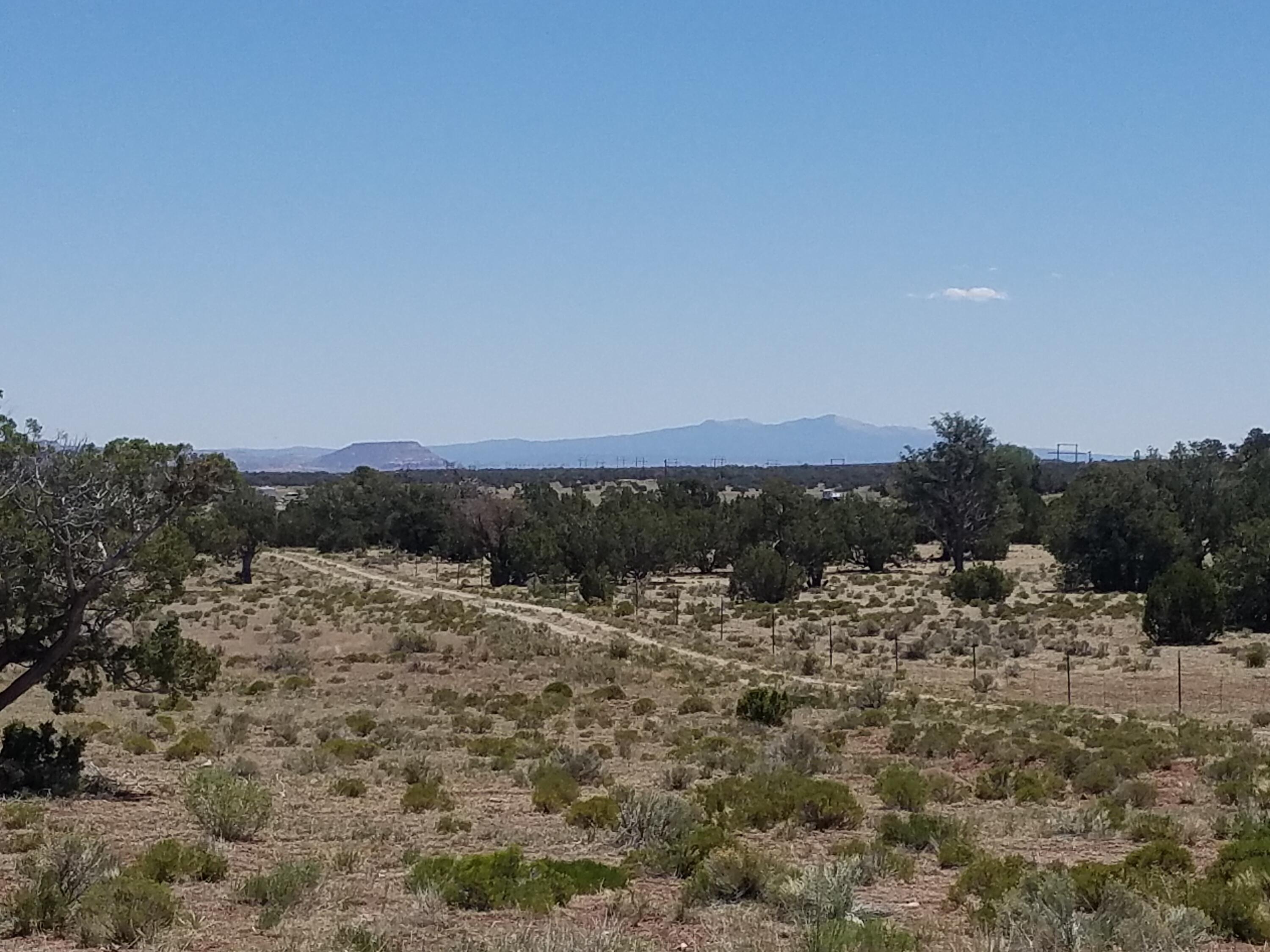 Photo 15 — Tbd NM 612