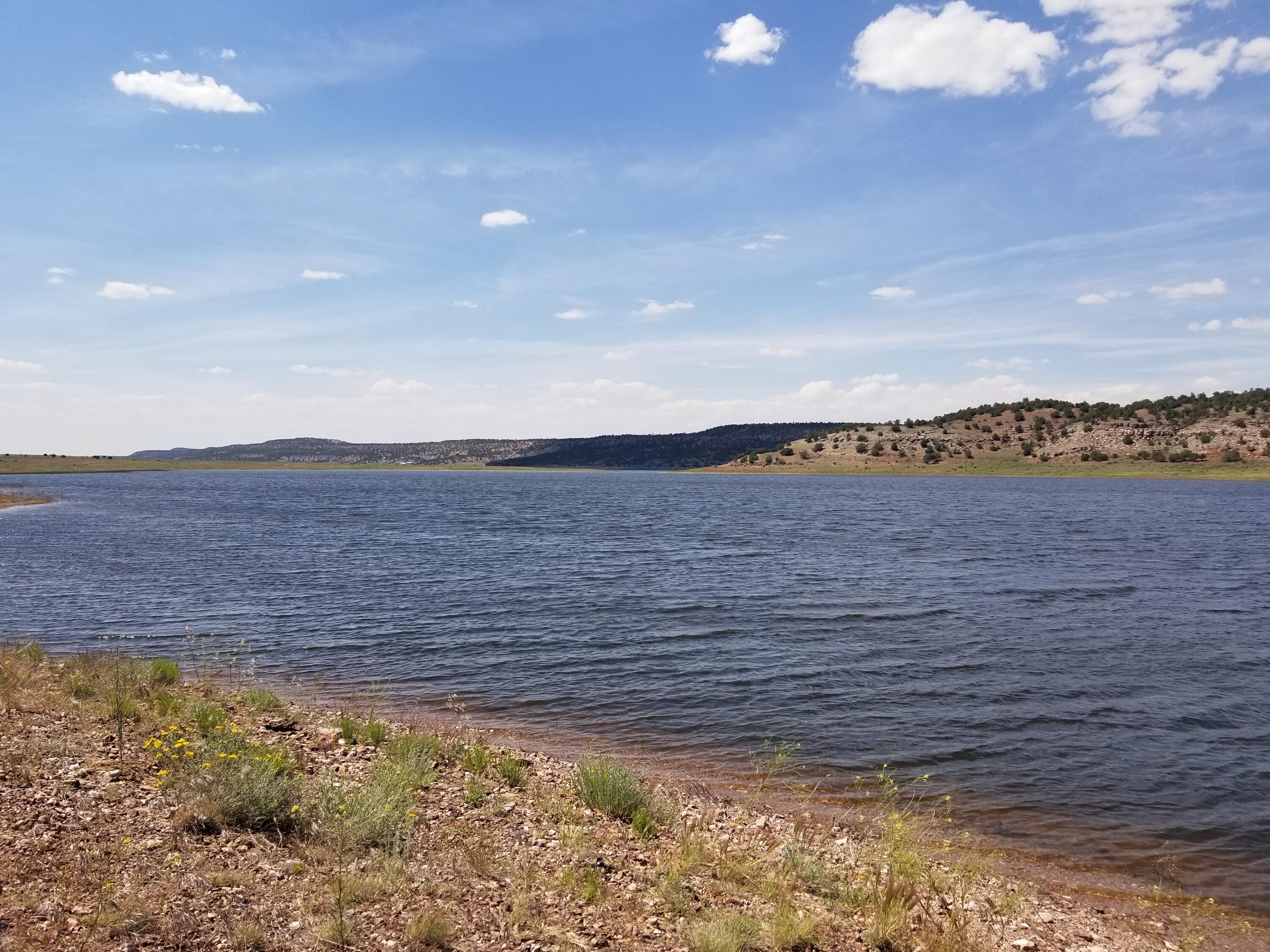Photo 5 — Tbd NM 612