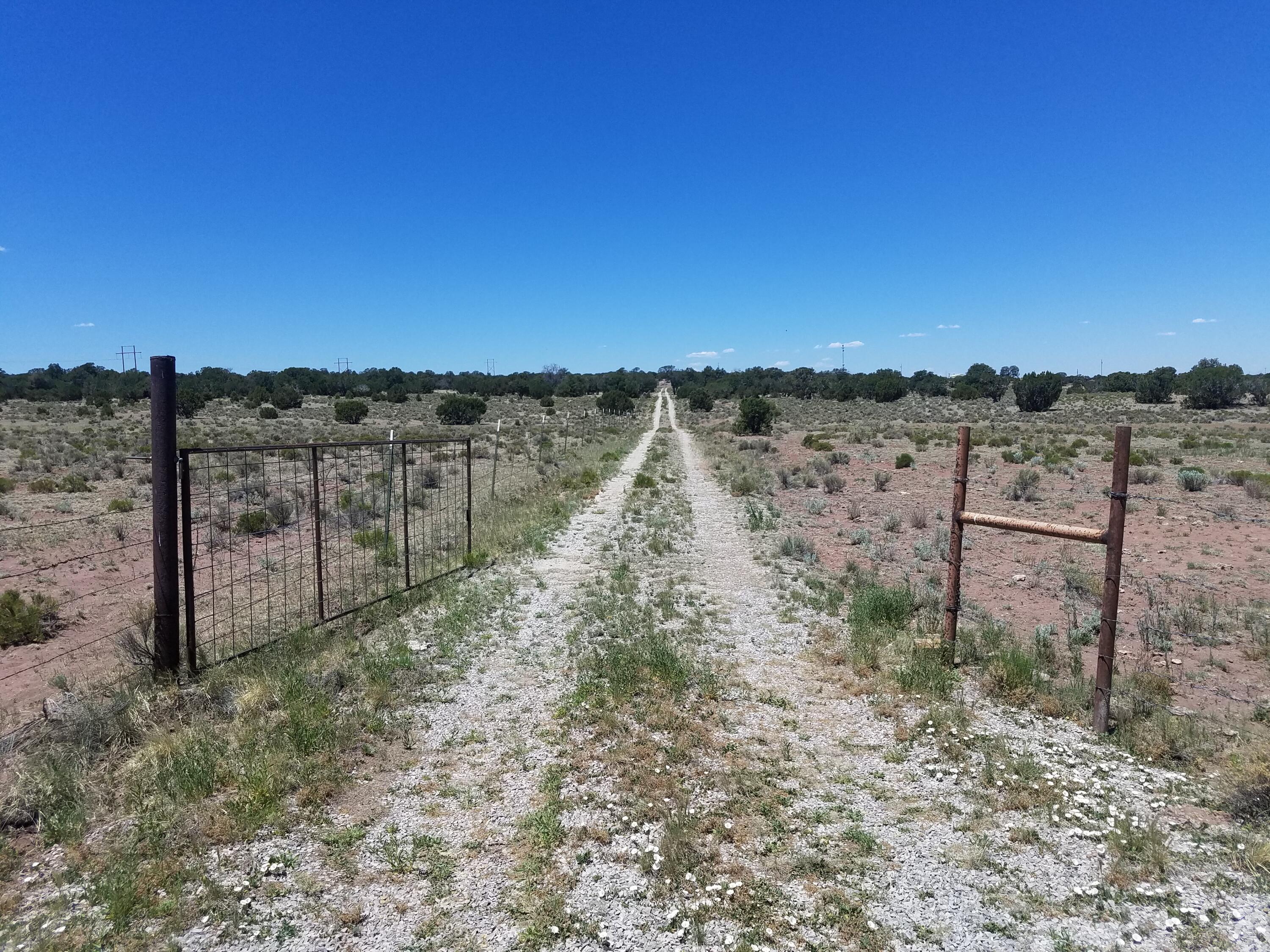 Photo 7 — Tbd NM 612