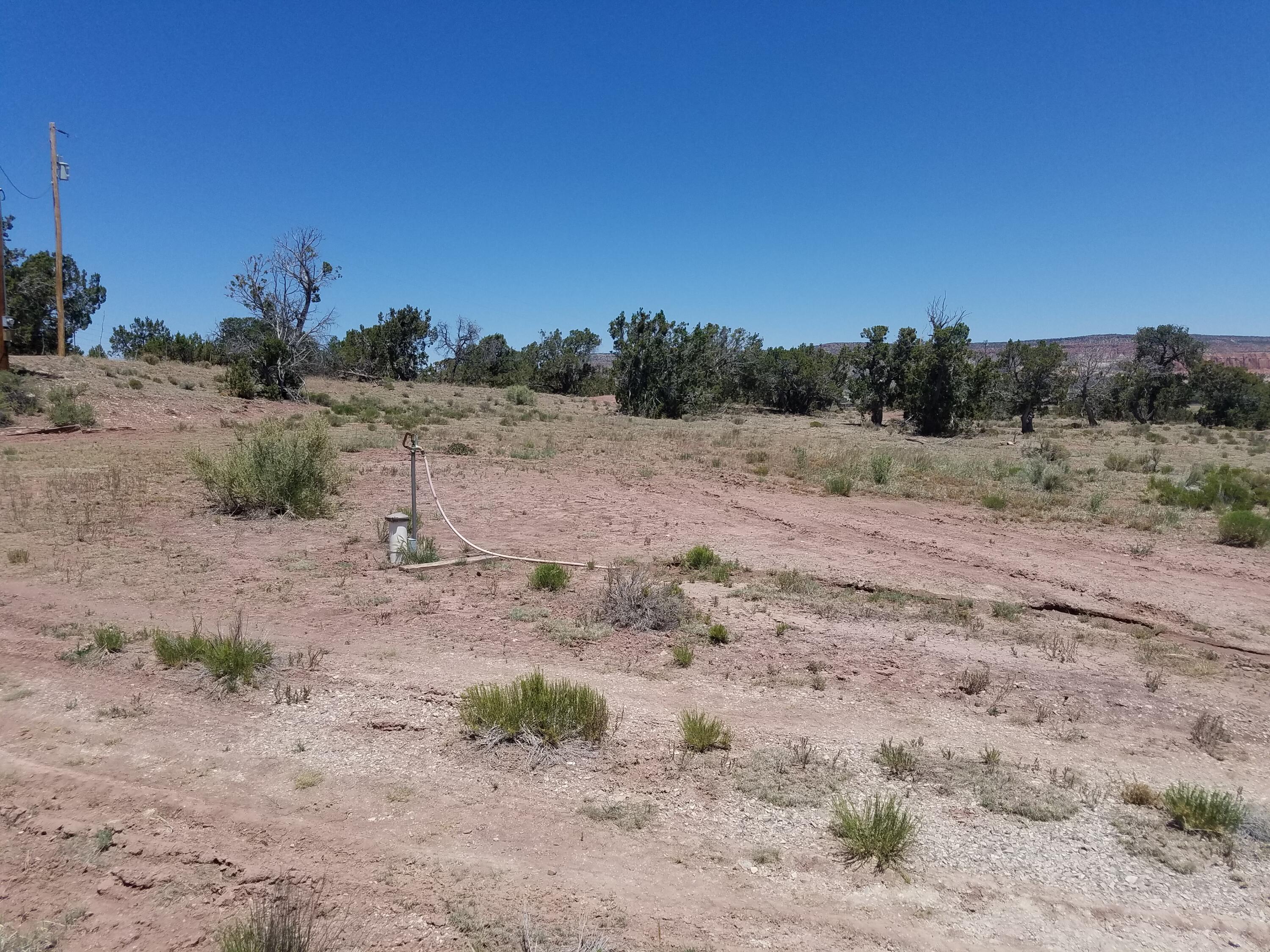 Photo 14 — Tbd NM 612