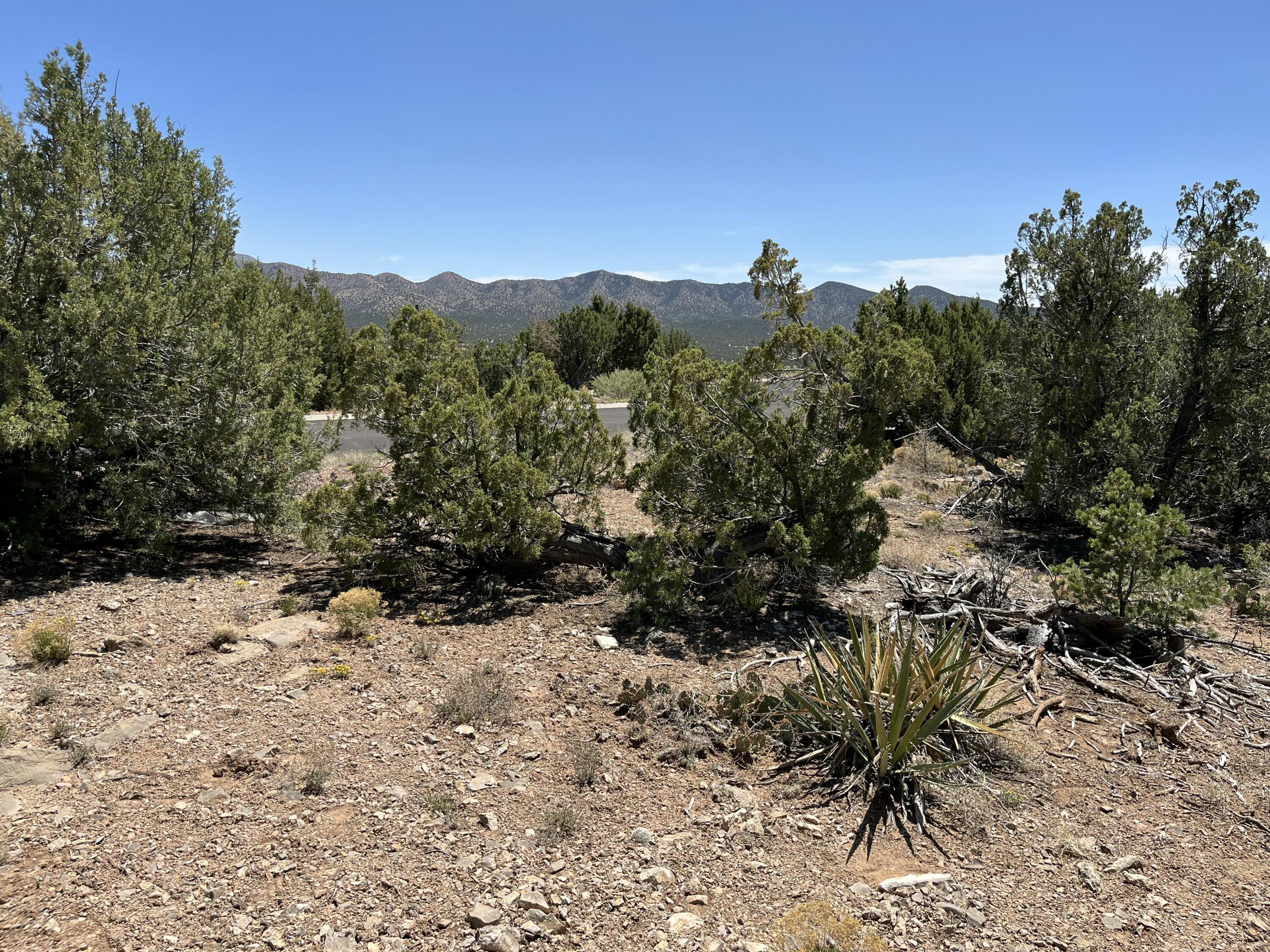 Photo 3 — 2 Mongwu Kachina Court