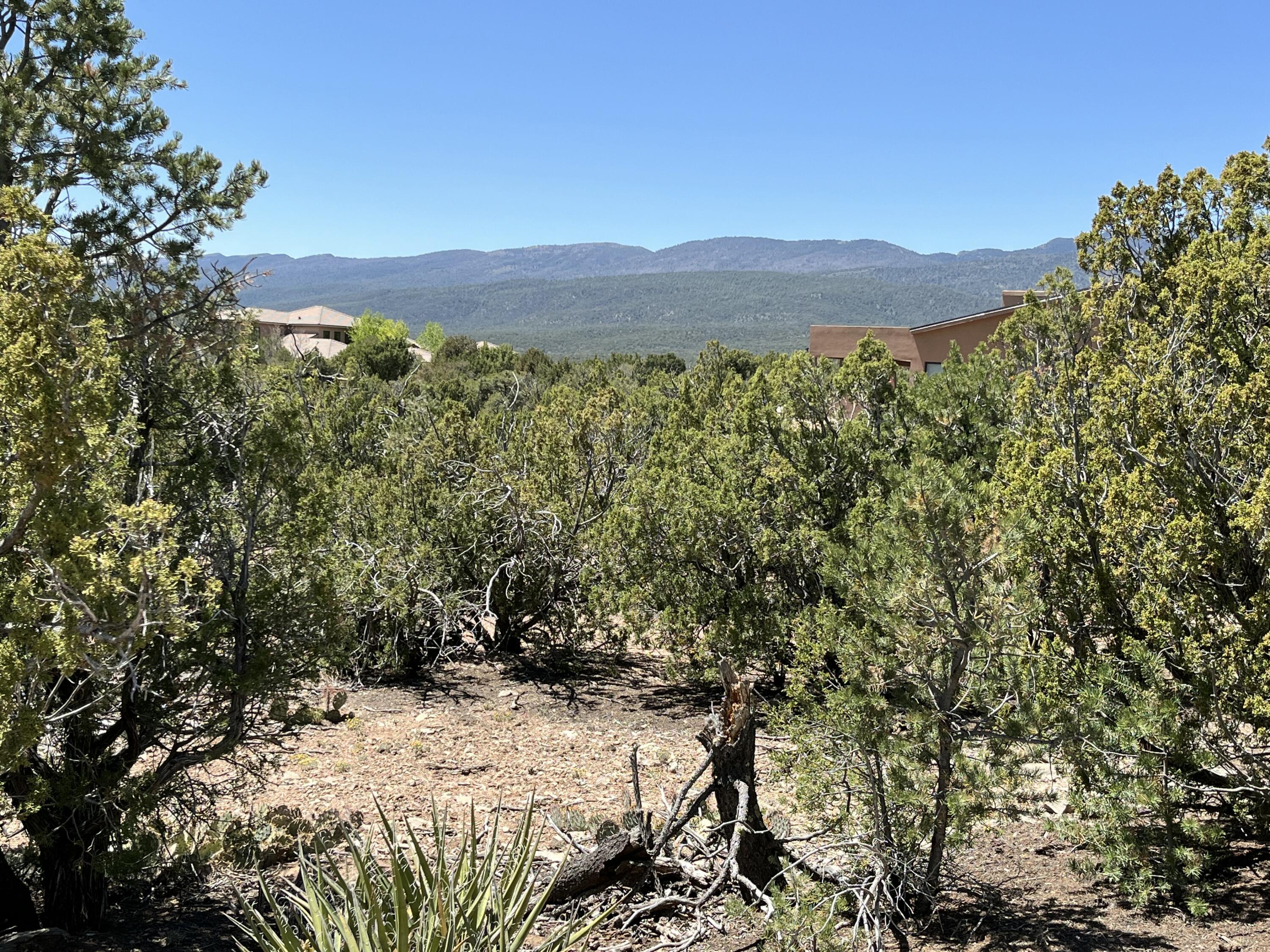 Photo 4 — 2 Mongwu Kachina Court