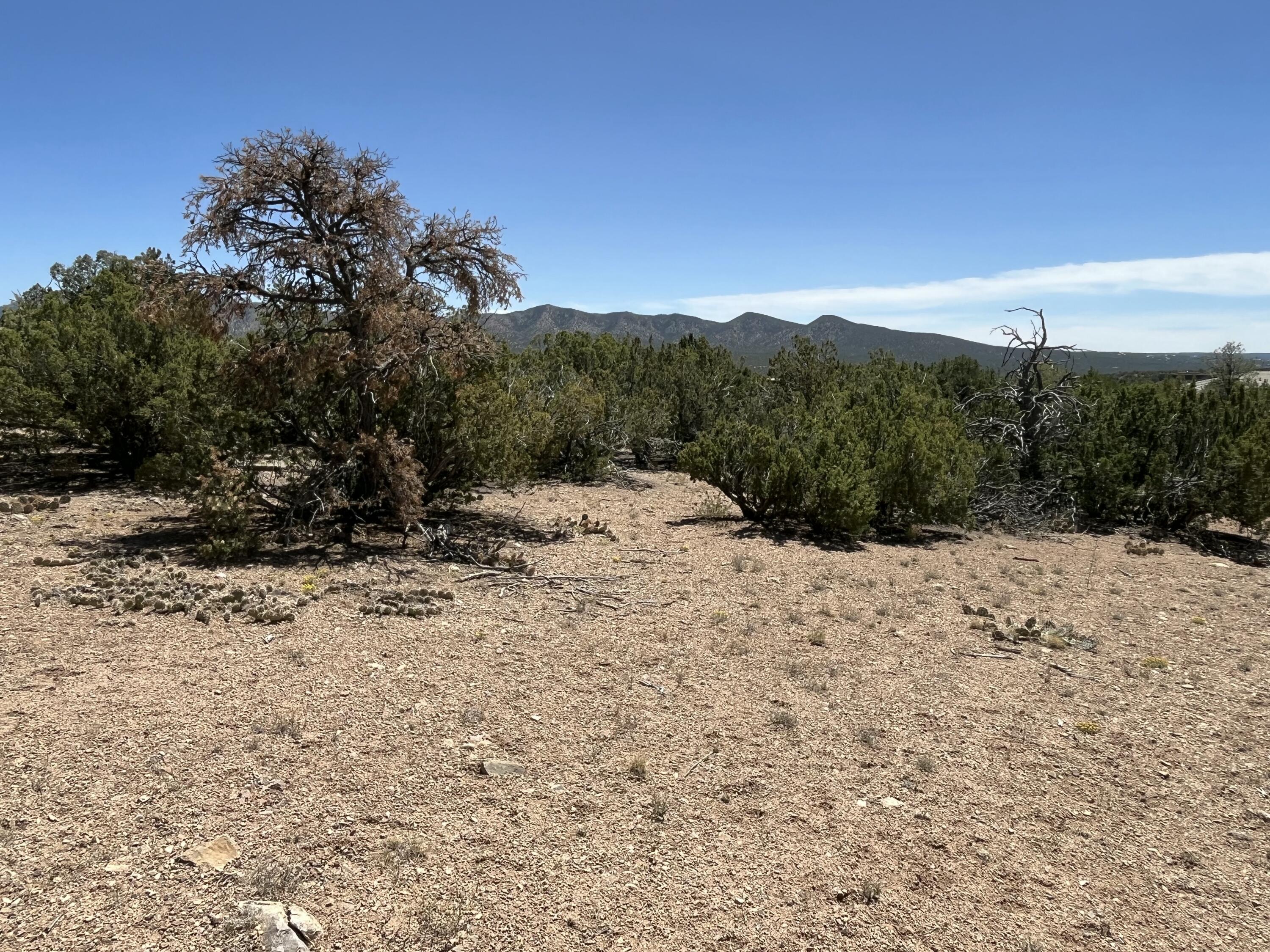 Photo 5 — 2 Mongwu Kachina Court