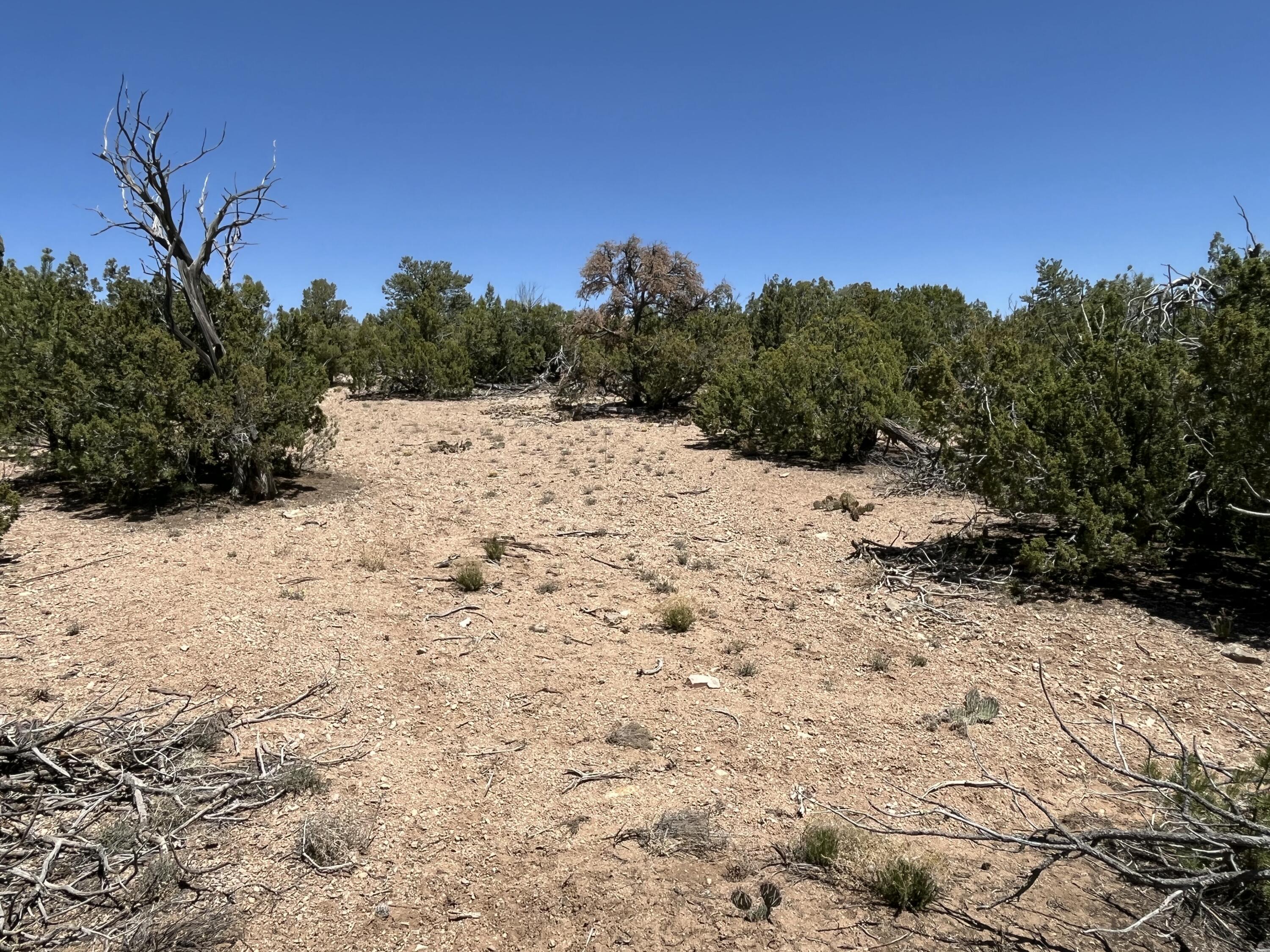 Photo 6 — 2 Mongwu Kachina Court