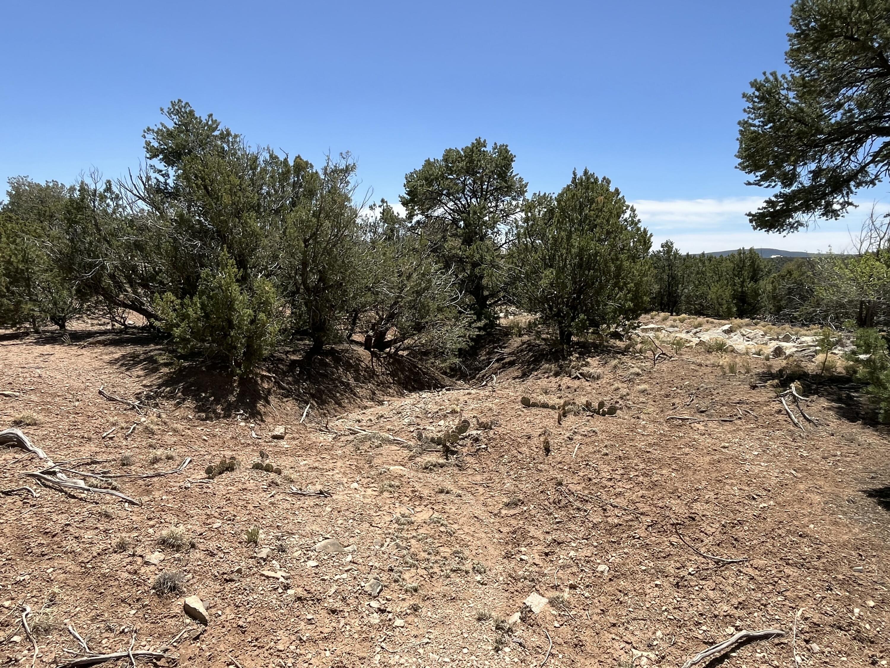 Photo 7 — 2 Mongwu Kachina Court