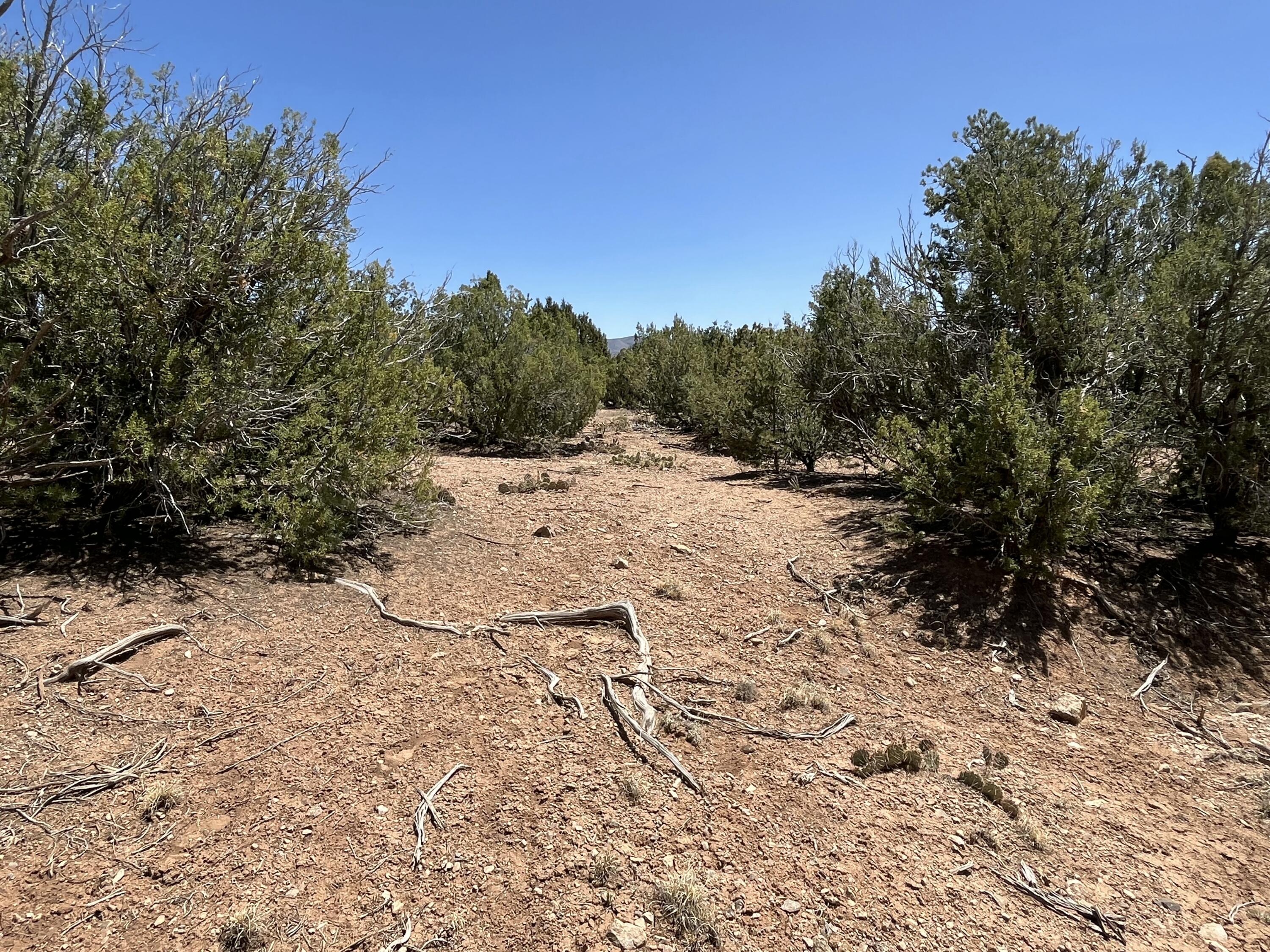Photo 8 — 2 Mongwu Kachina Court