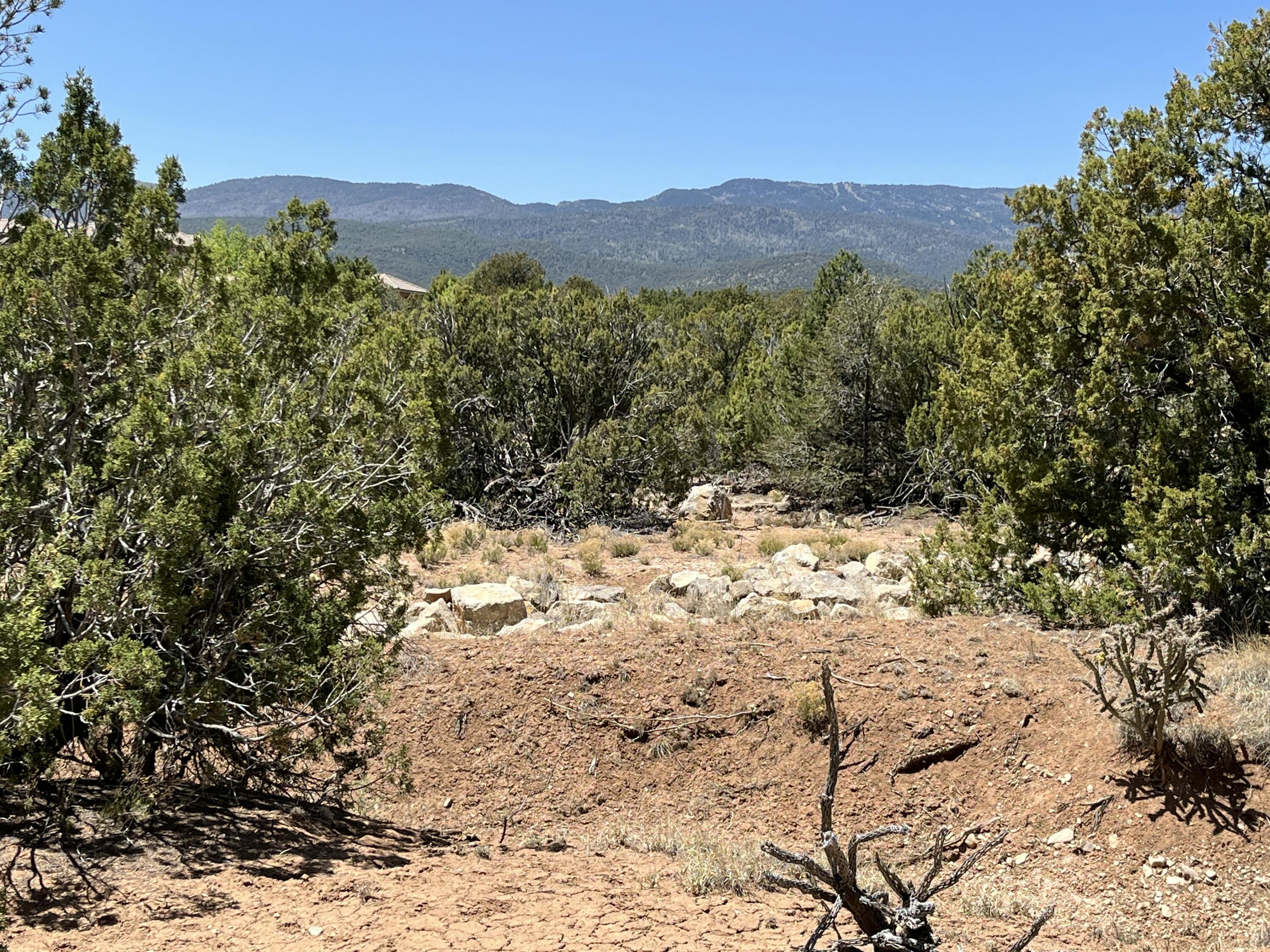 Photo 10 — 2 Mongwu Kachina Court