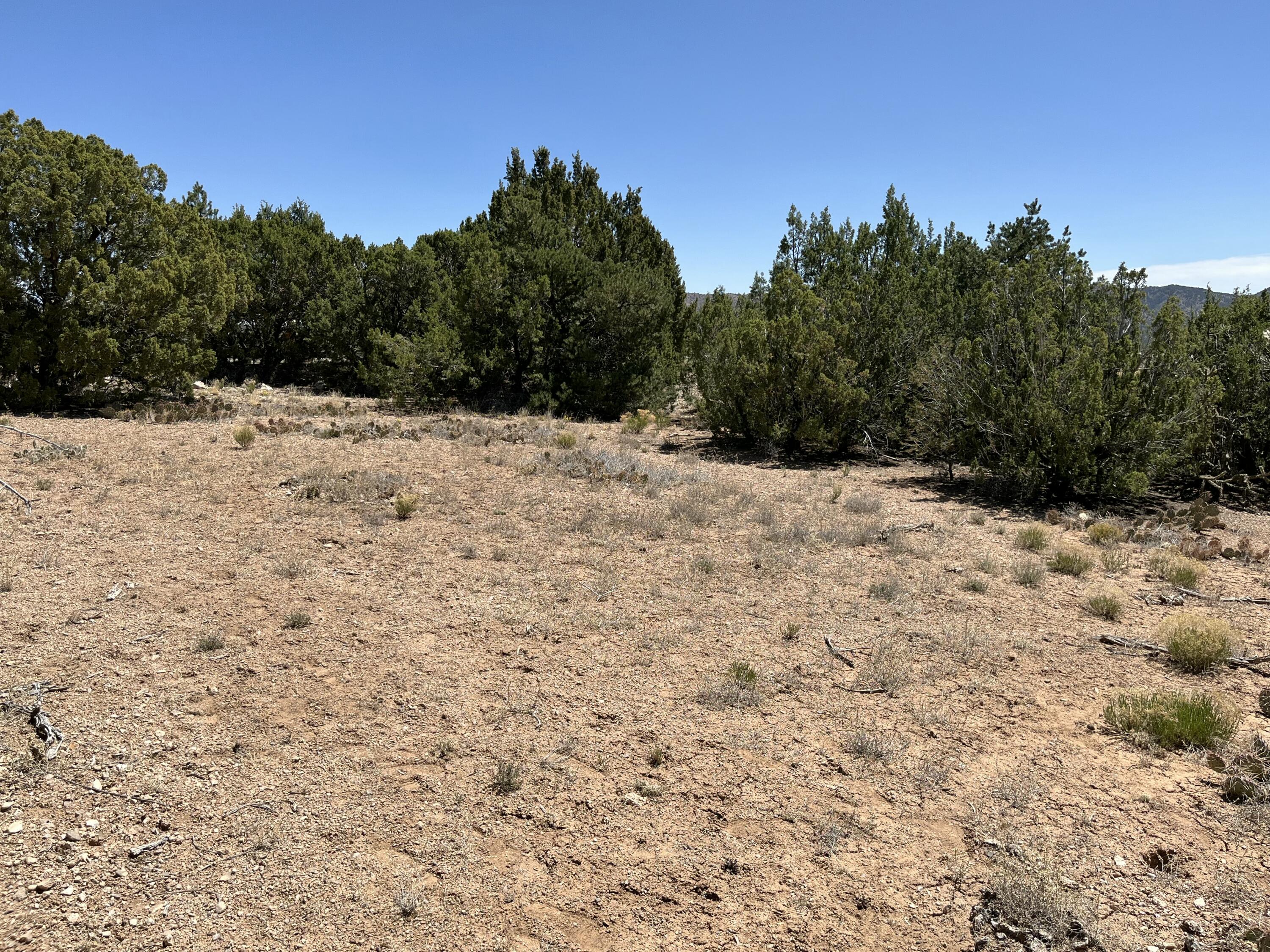 Photo 11 — 2 Mongwu Kachina Court