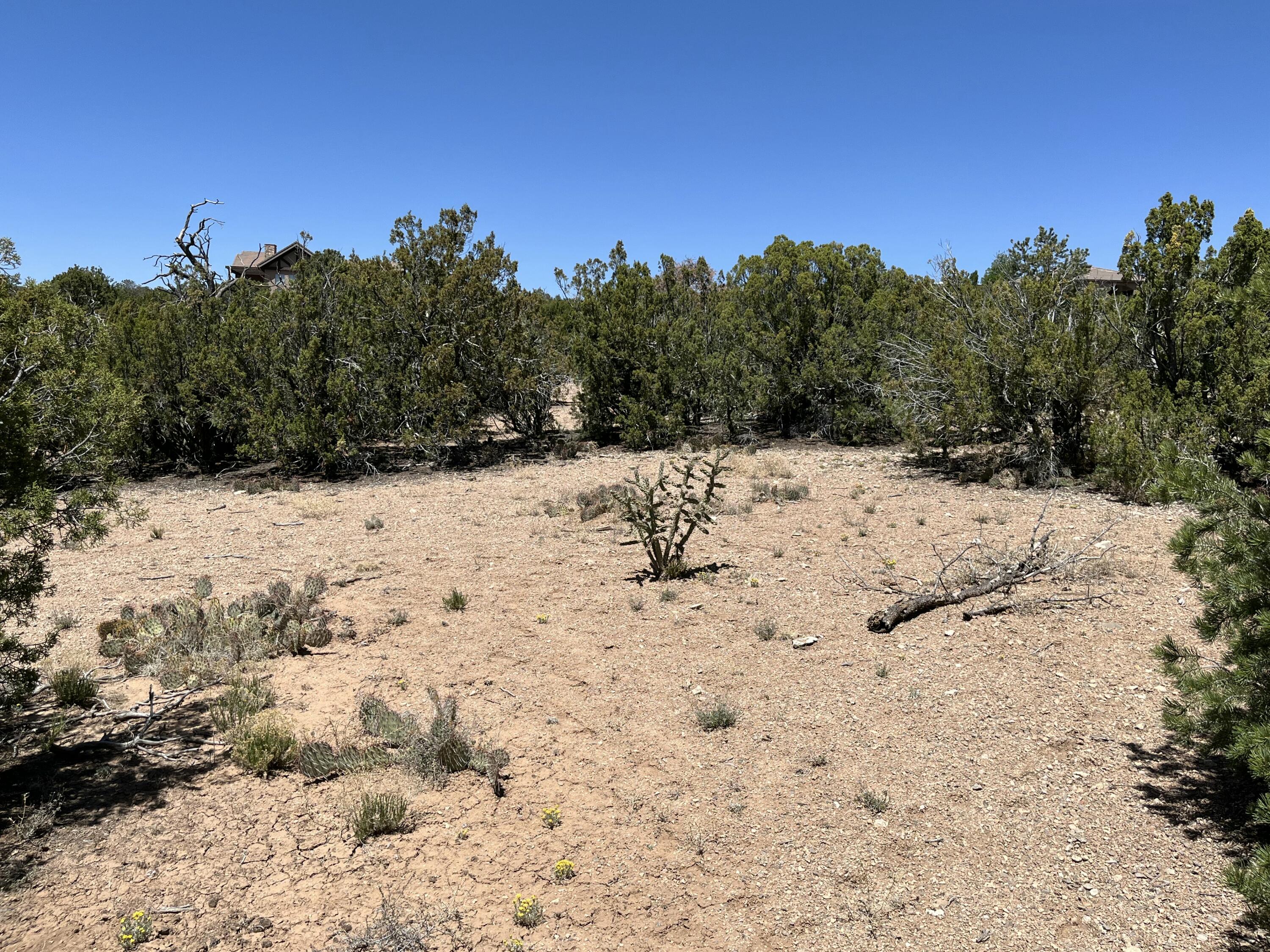 Photo 12 — 2 Mongwu Kachina Court