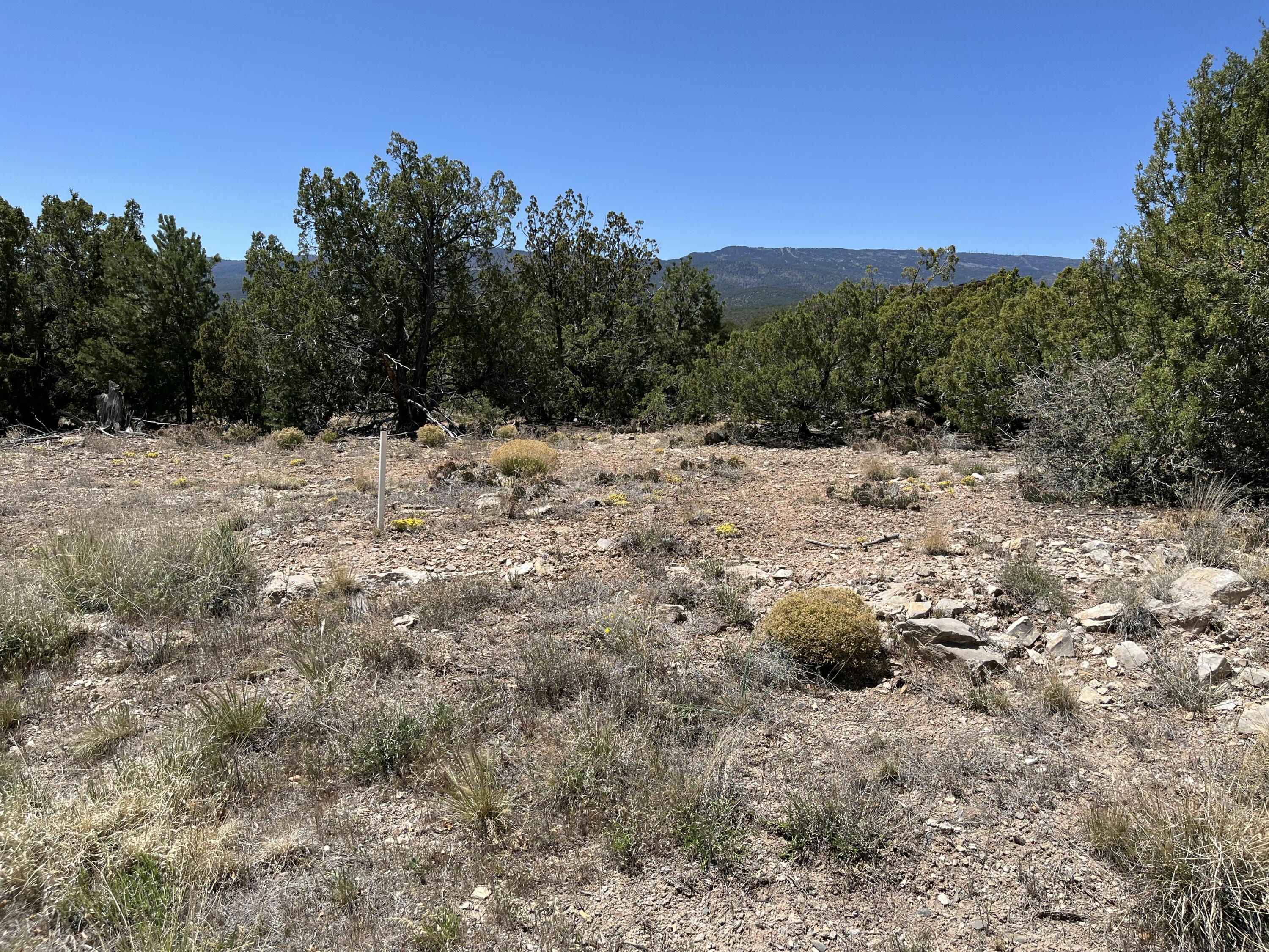 Photo 13 — 2 Mongwu Kachina Court