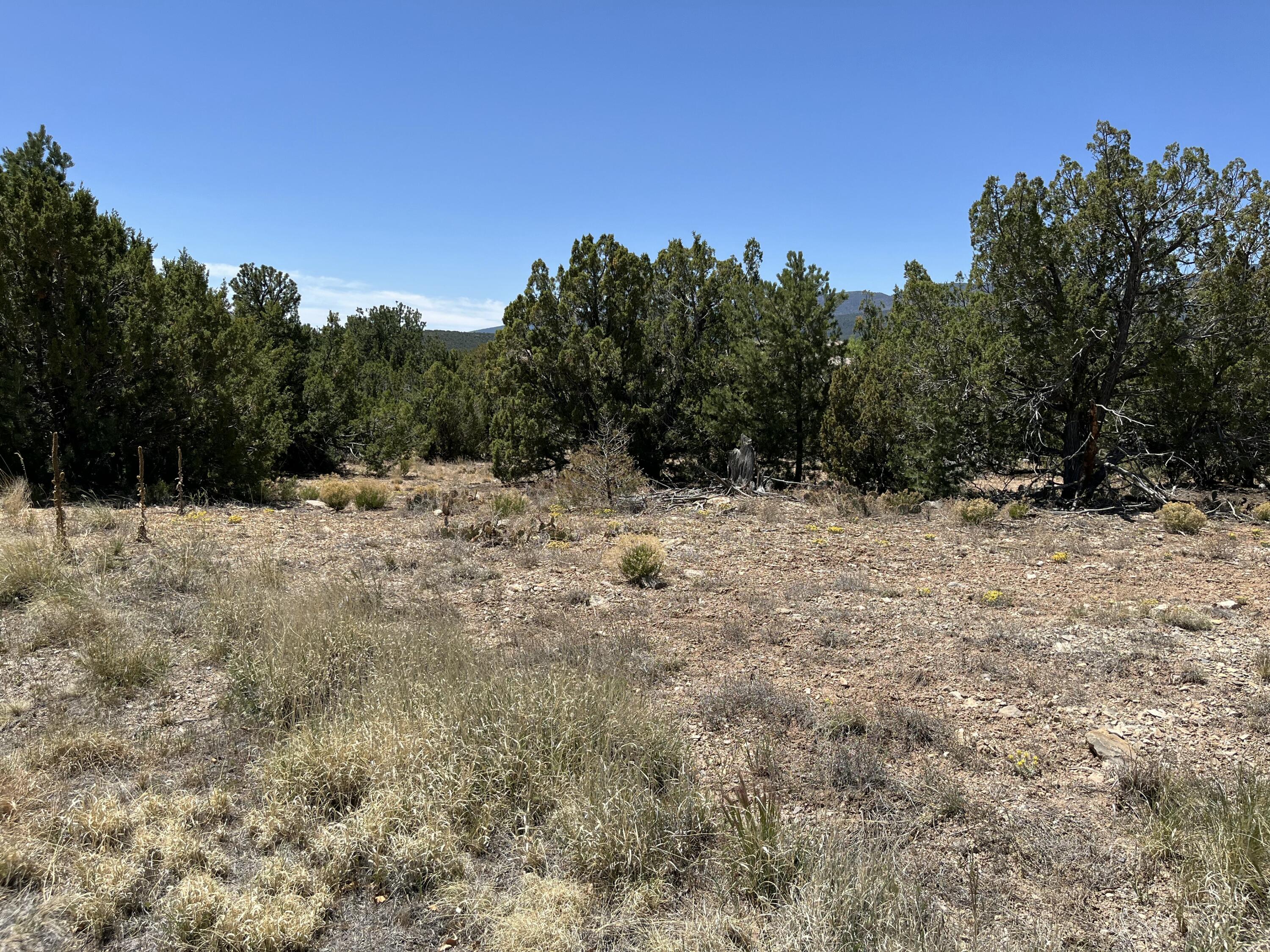 Photo 14 — 2 Mongwu Kachina Court