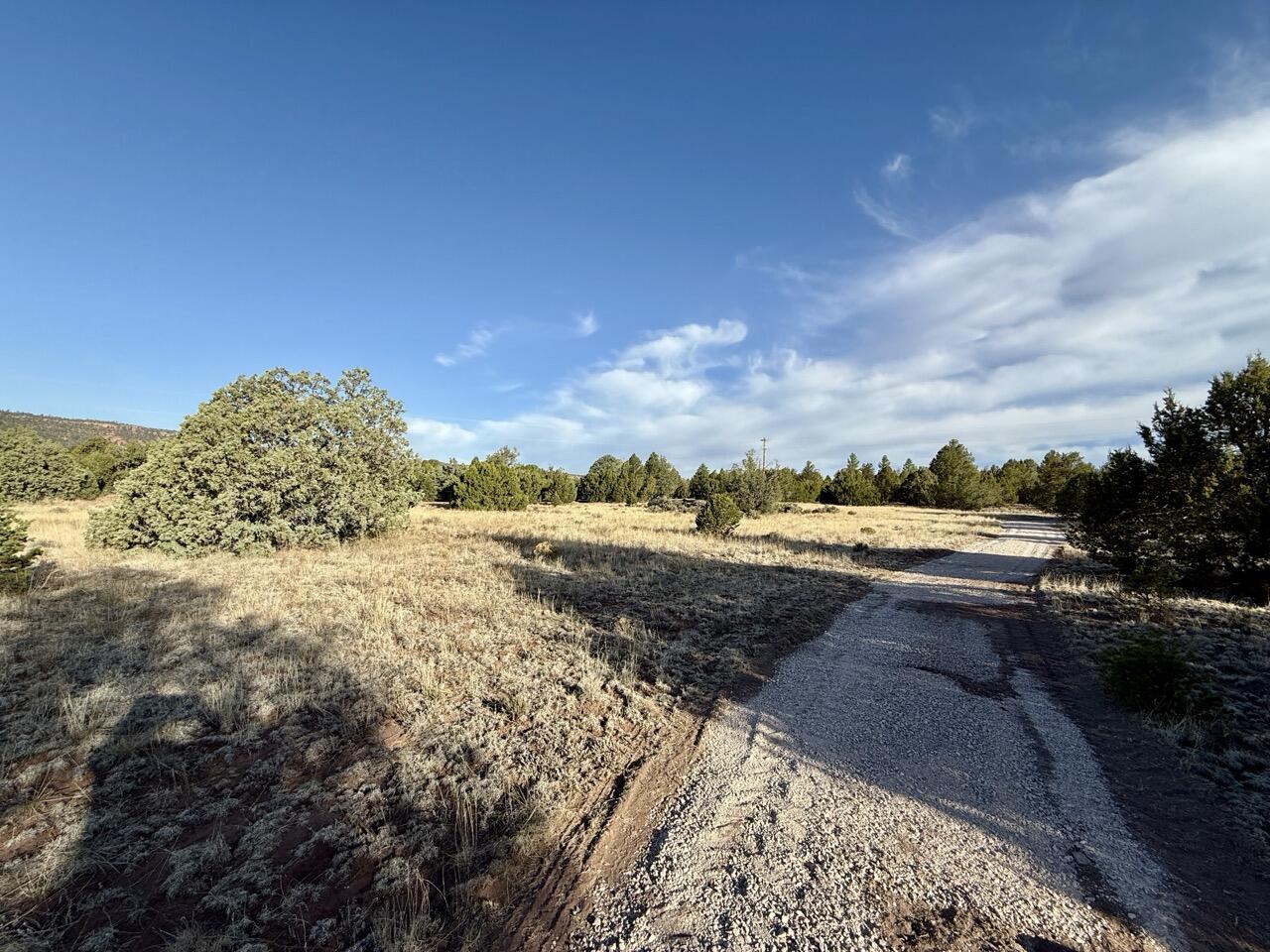 Photo 20 — Lot 18 Buttonwood Drive