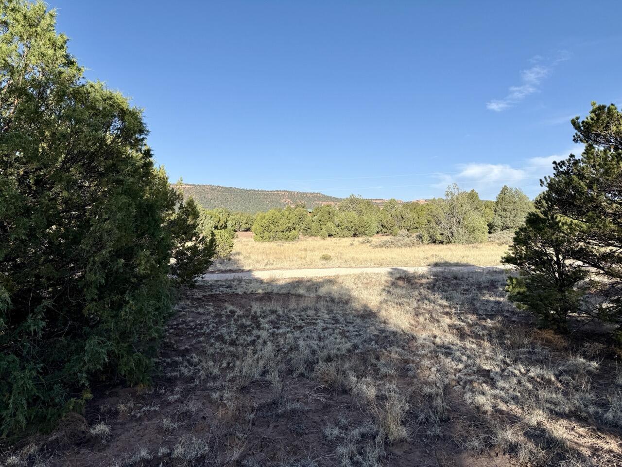 Photo 19 — Lot 18 Buttonwood Drive