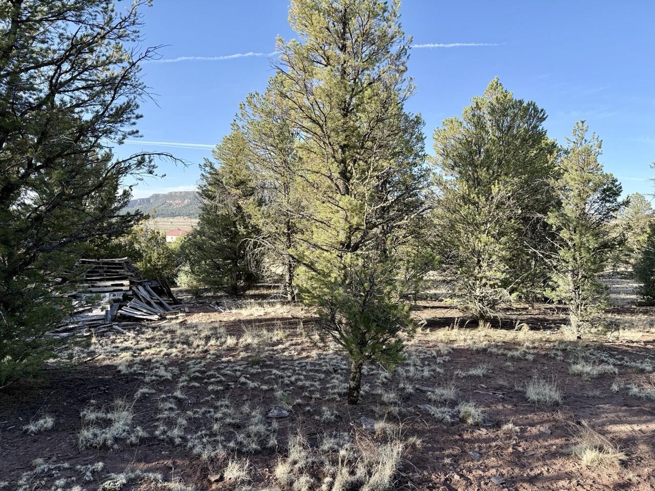 Photo 18 — Lot 18 Buttonwood Drive