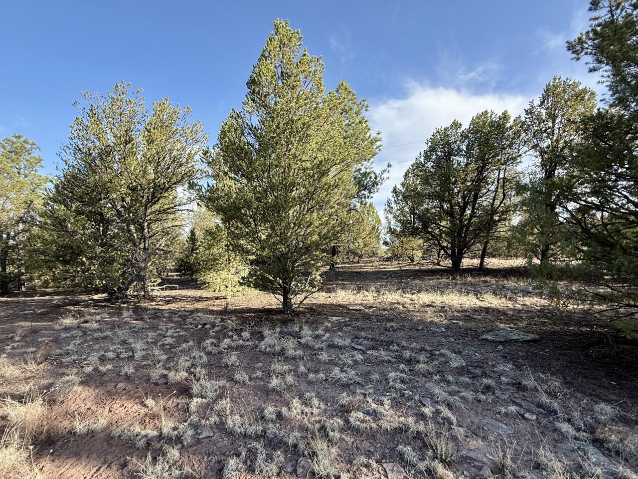 Photo 17 — Lot 18 Buttonwood Drive