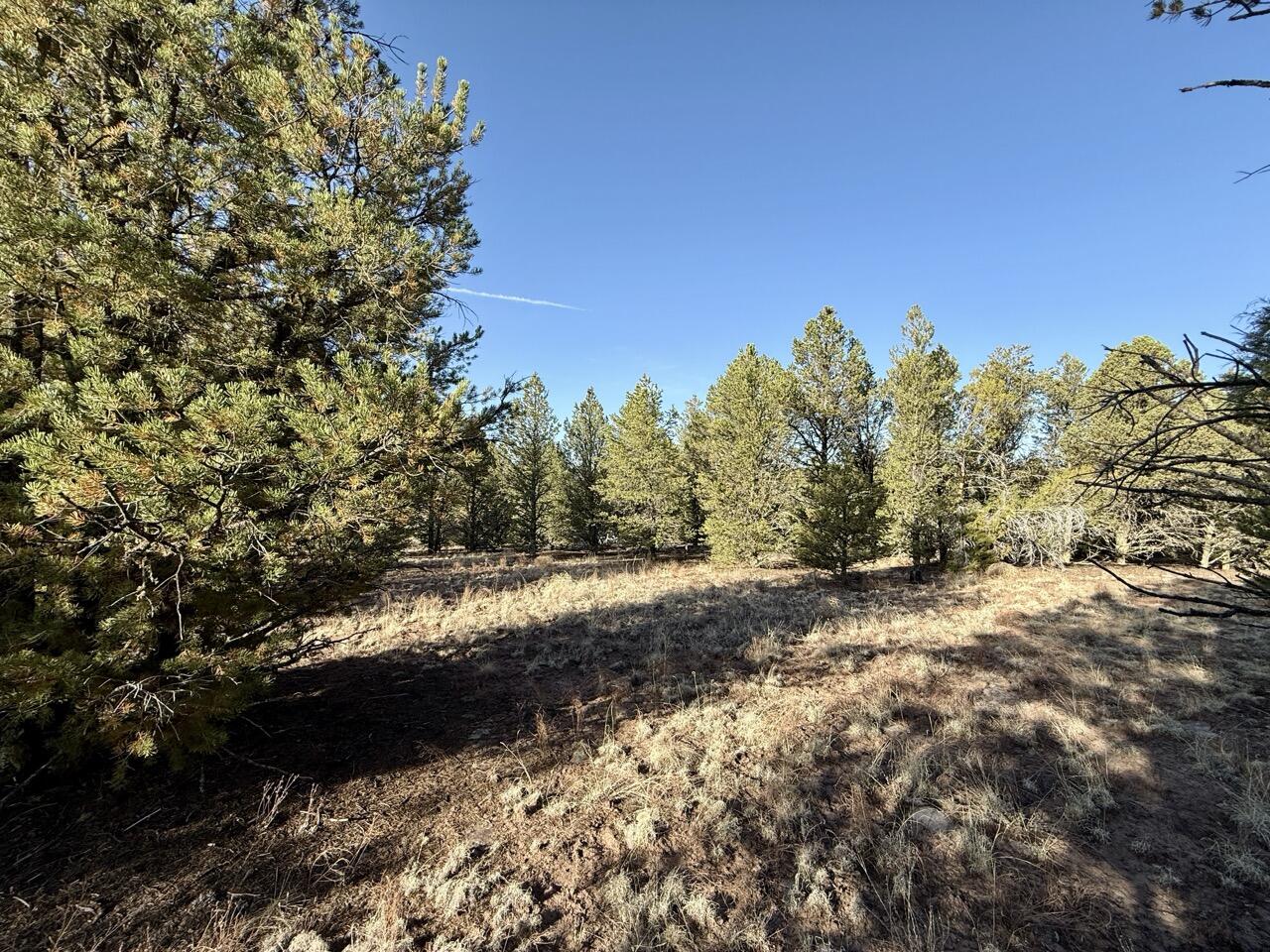 Photo 16 — Lot 18 Buttonwood Drive