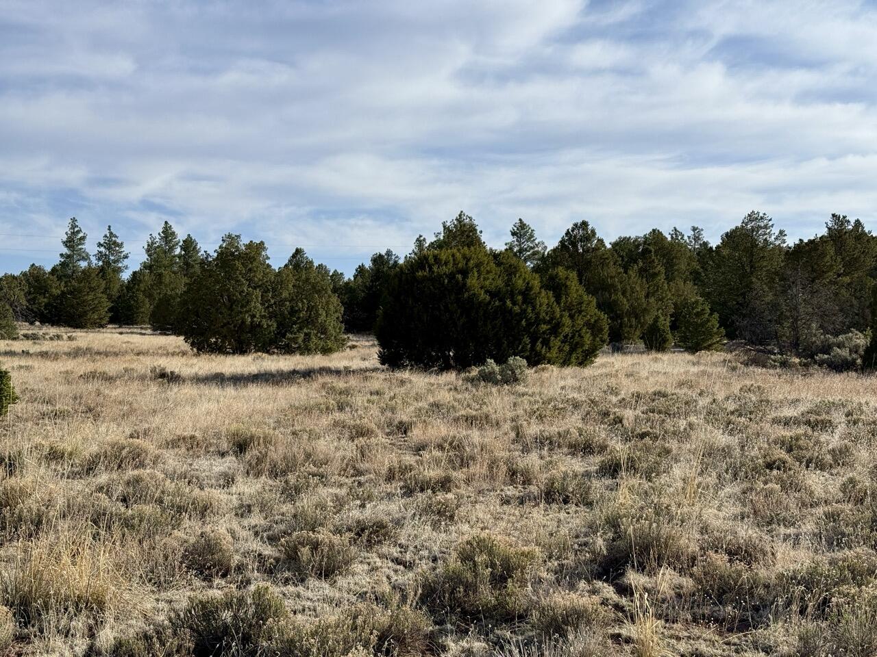 Photo 15 — Lot 18 Buttonwood Drive