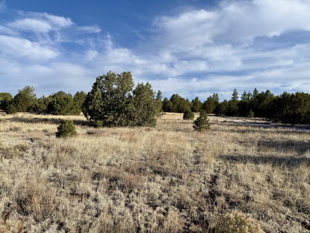 Photo 14 — Lot 18 Buttonwood Drive