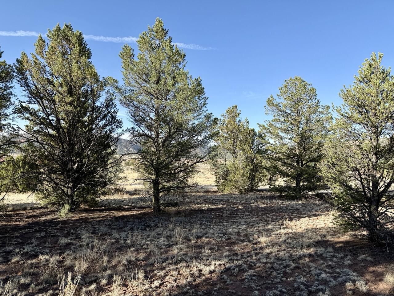 Photo 12 — Lot 18 Buttonwood Drive