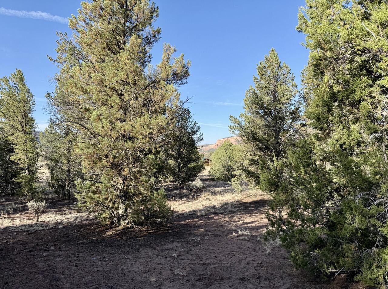 Photo 11 — Lot 18 Buttonwood Drive
