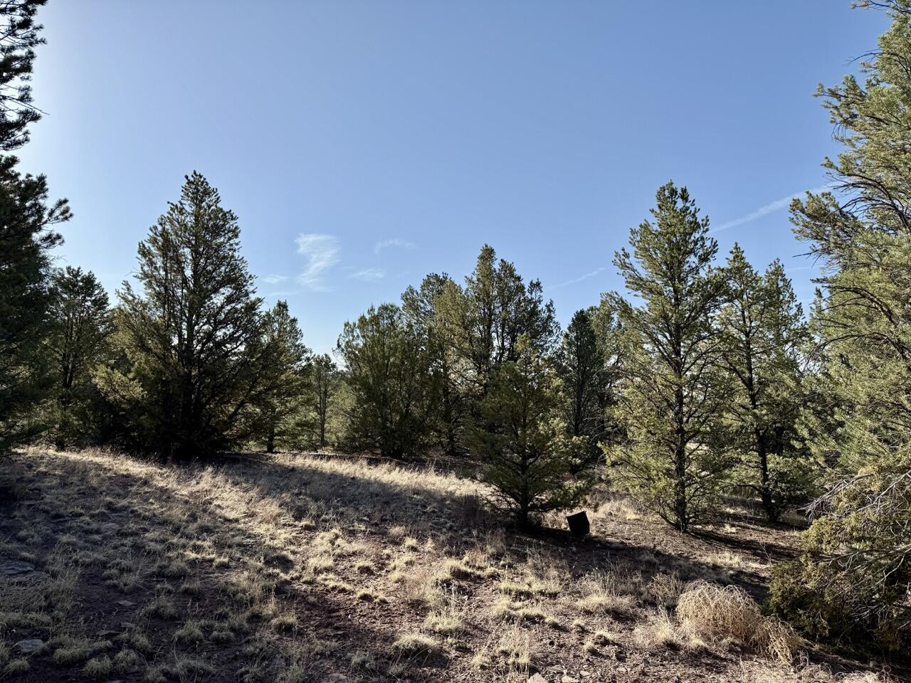 Photo 10 — Lot 18 Buttonwood Drive