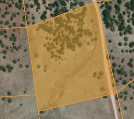Photo 9 — Lot 18 Buttonwood Drive