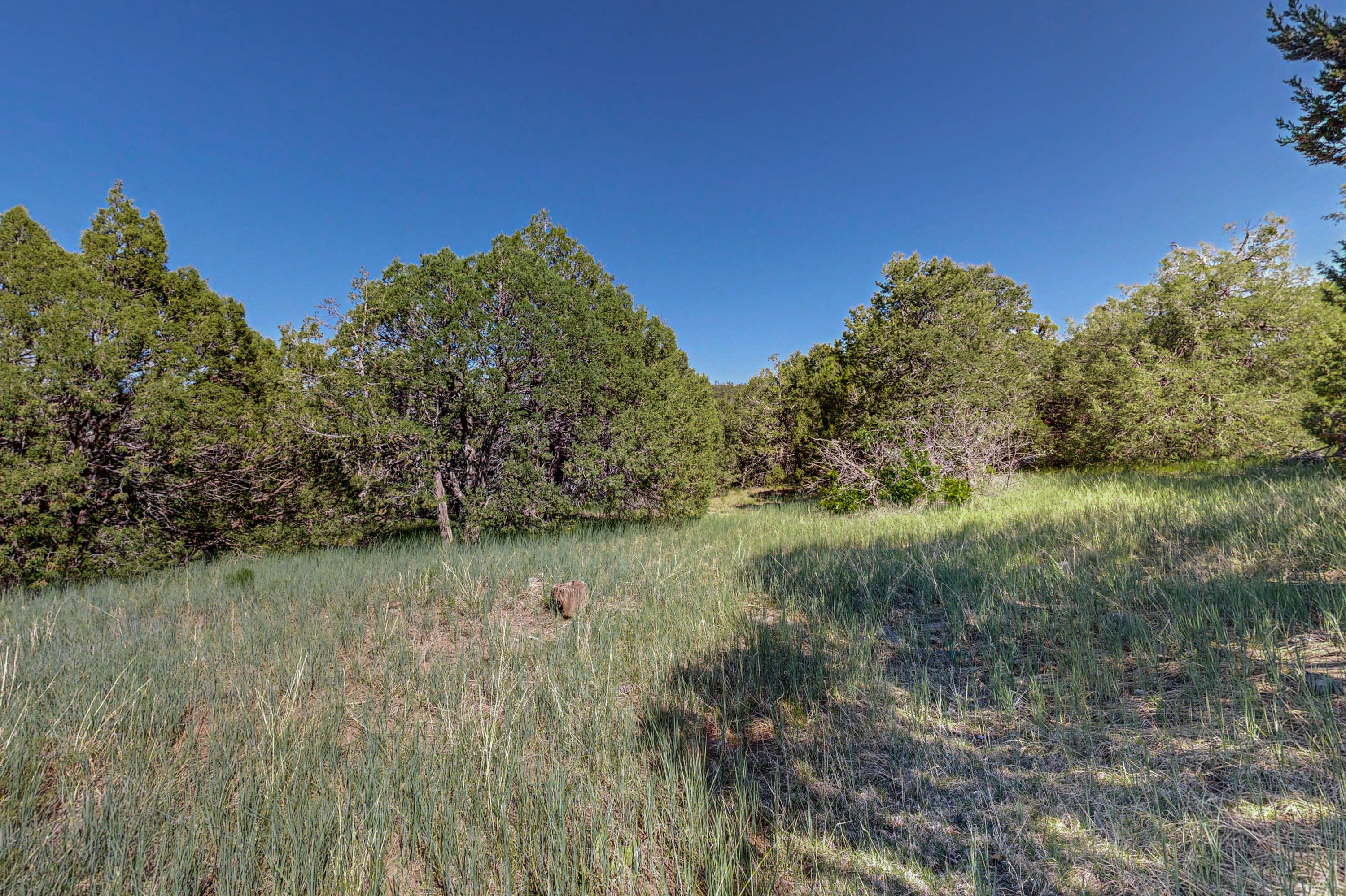 Photo 5 — 33 Los Pecos Lp