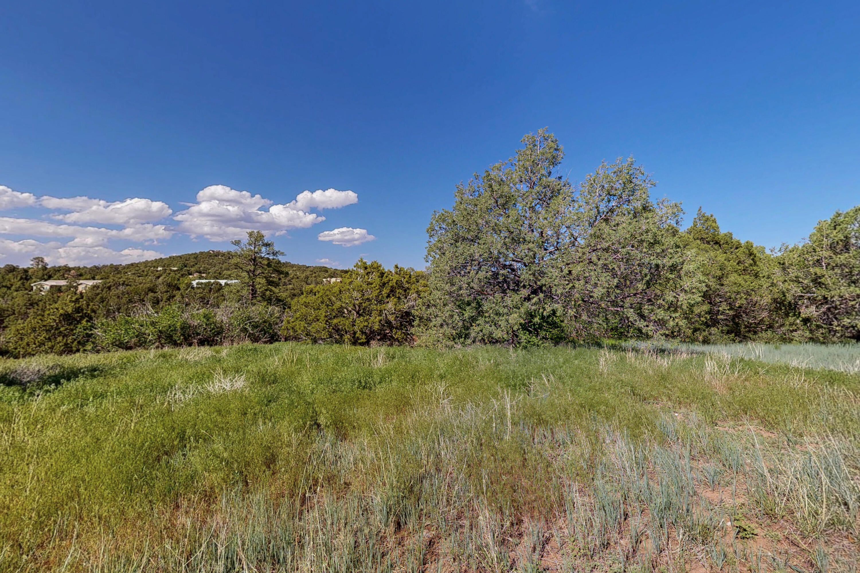 Photo 7 — 33 Los Pecos Lp