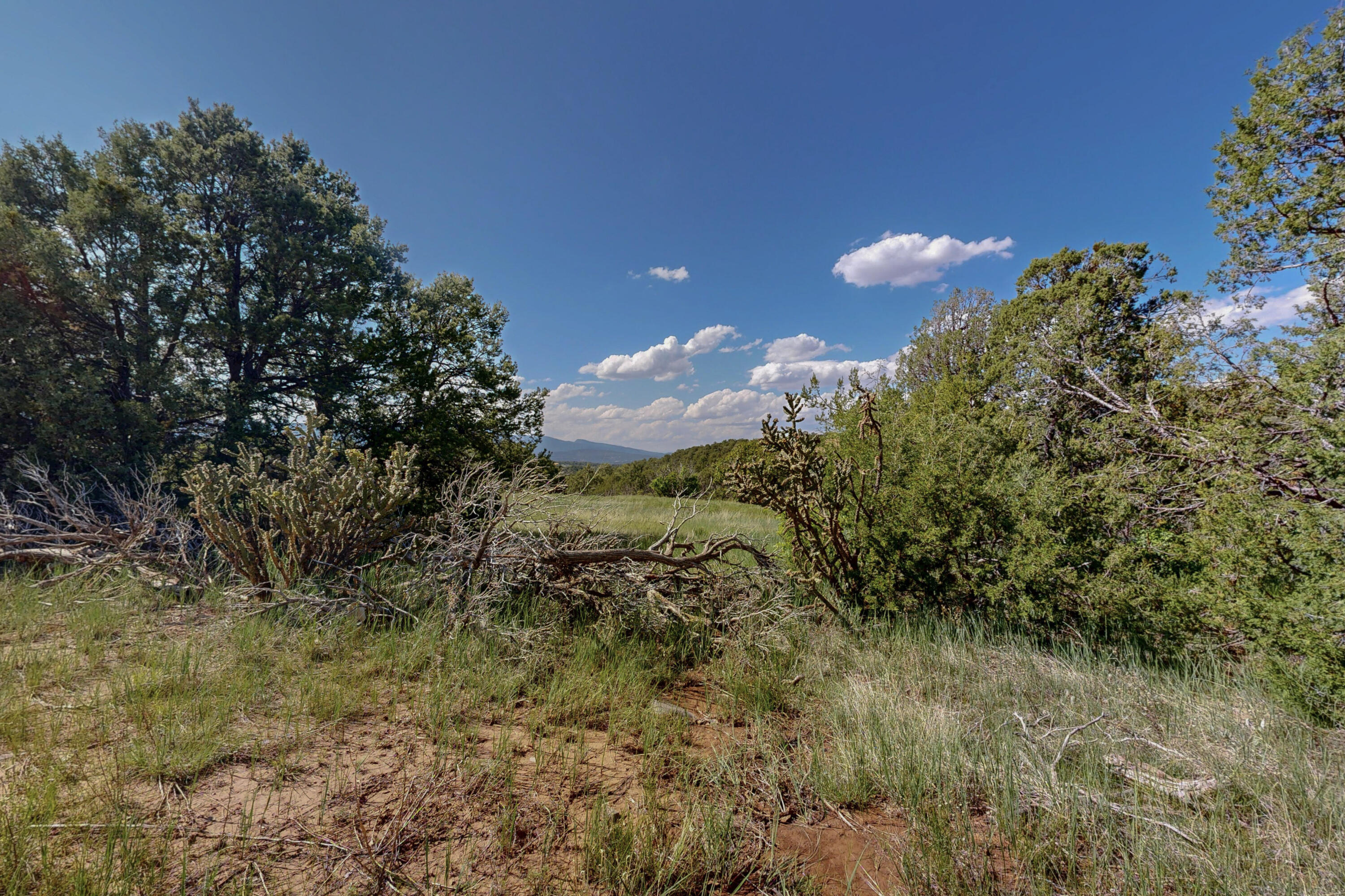Photo 9 — 33 Los Pecos Lp