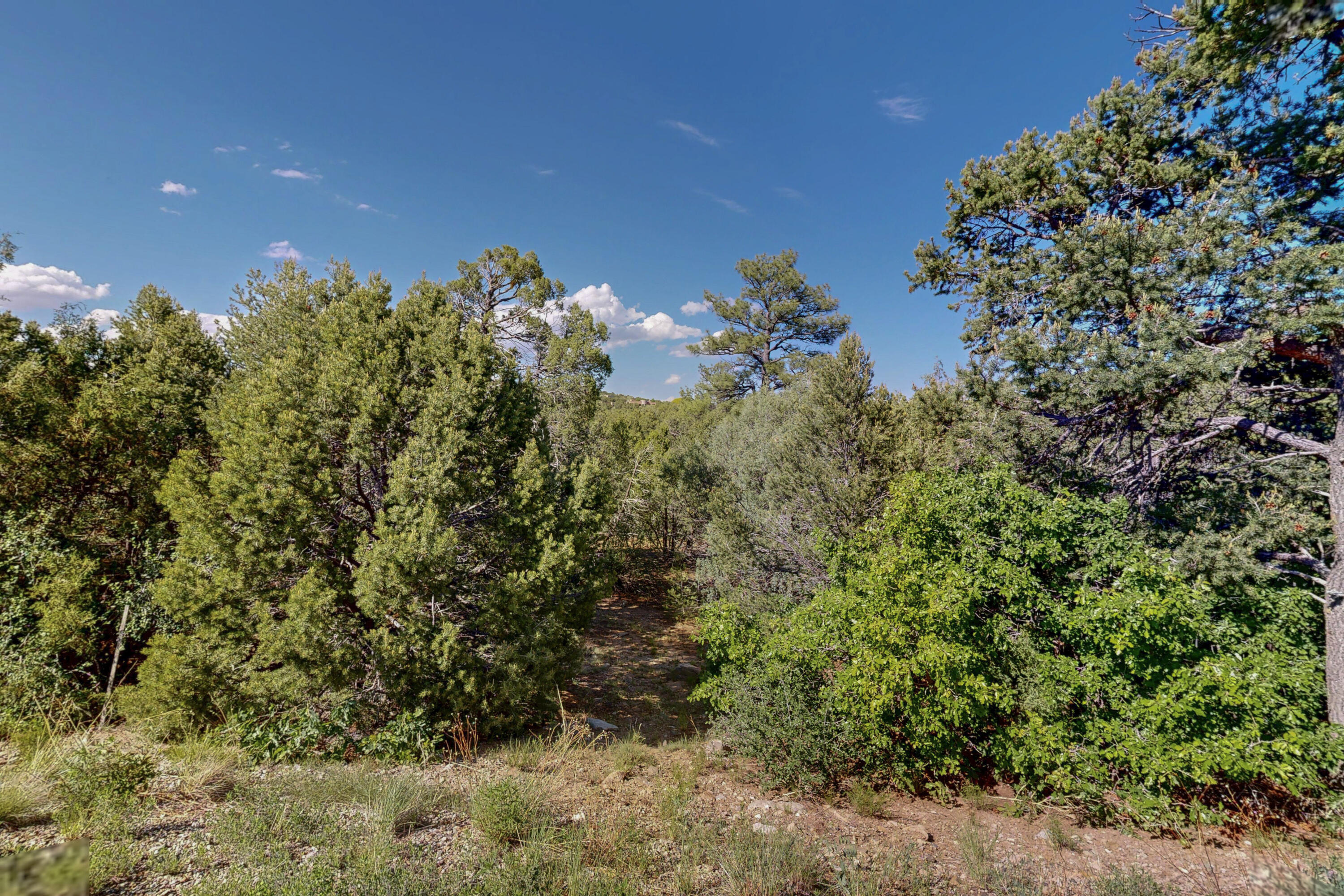 Photo 10 — 33 Los Pecos Lp