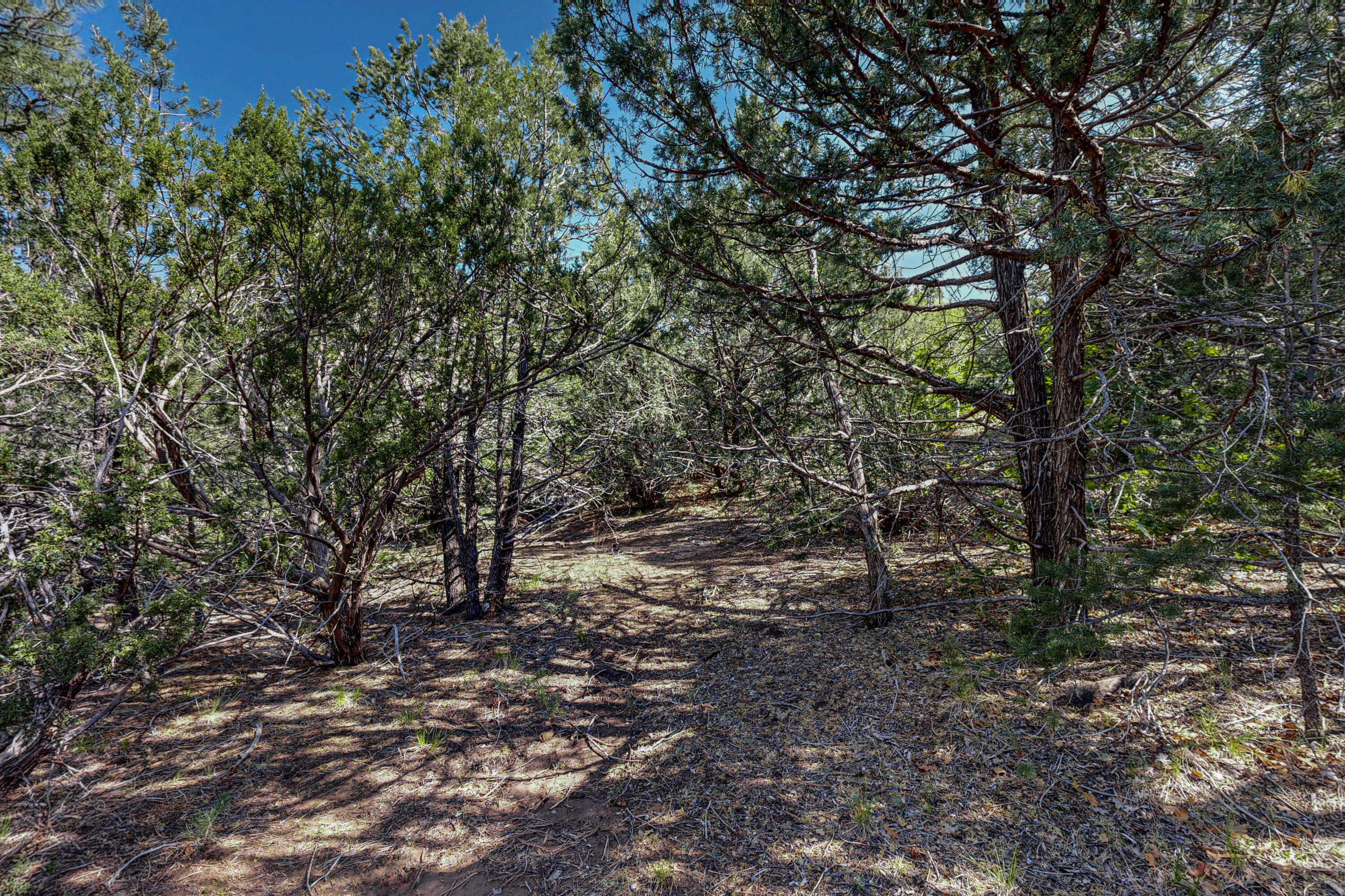 Photo 11 — 33 Los Pecos Lp