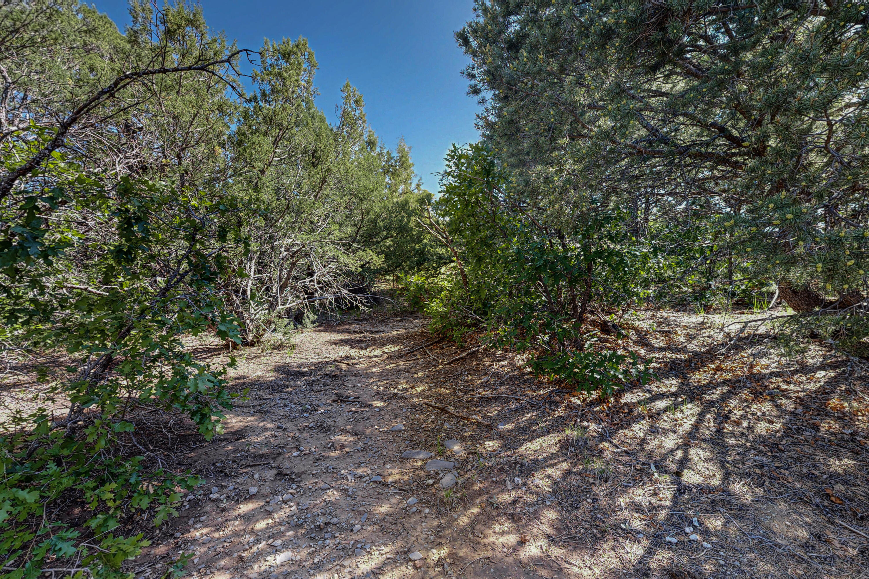 Photo 12 — 33 Los Pecos Lp