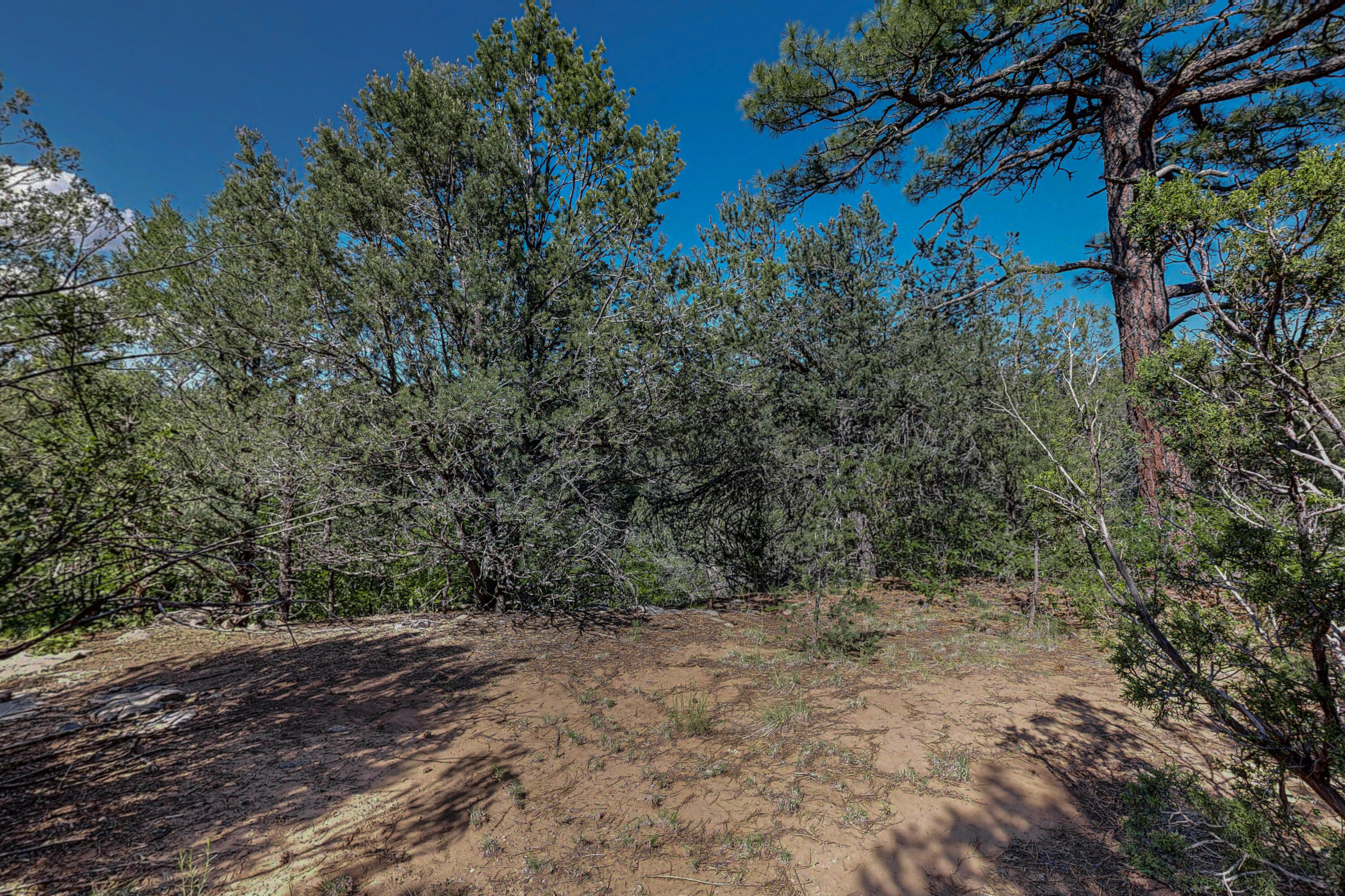 Photo 13 — 33 Los Pecos Lp