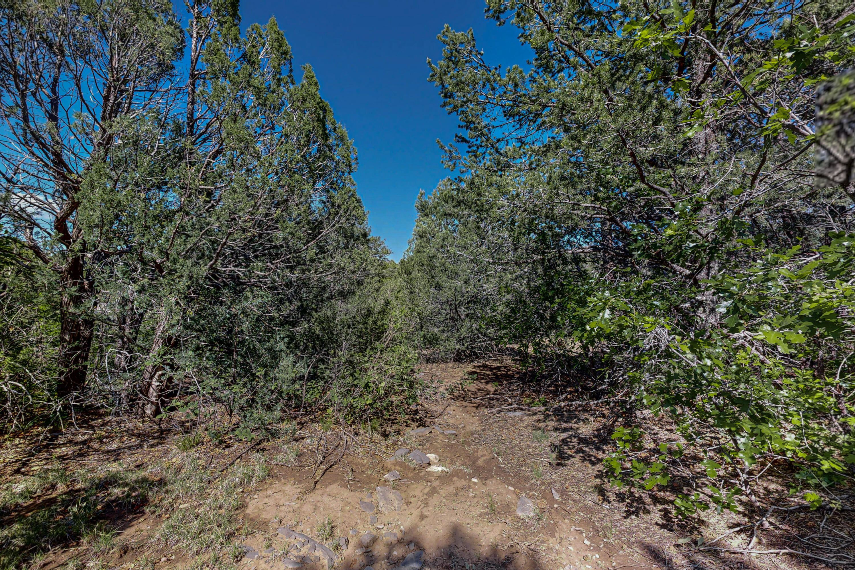 Photo 14 — 33 Los Pecos Lp