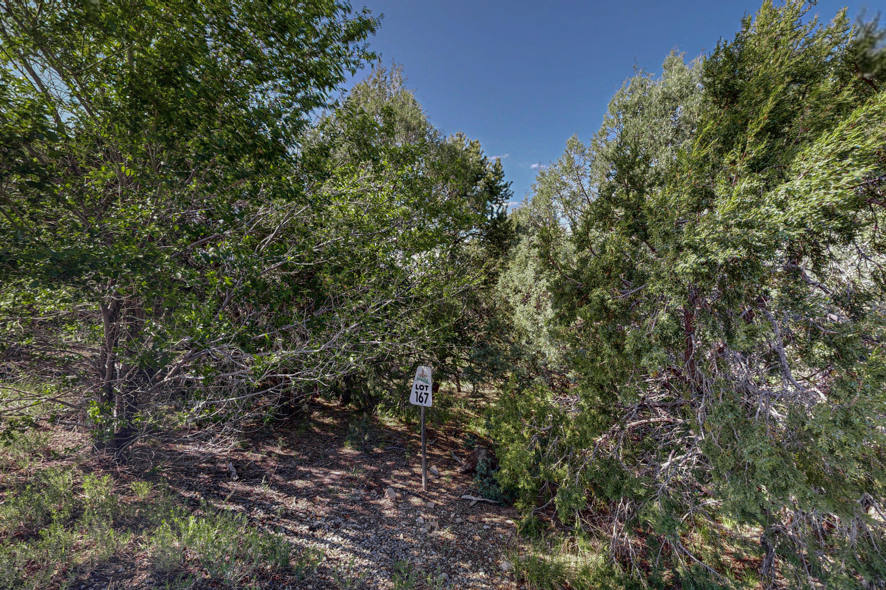 Photo 16 — 33 Los Pecos Lp