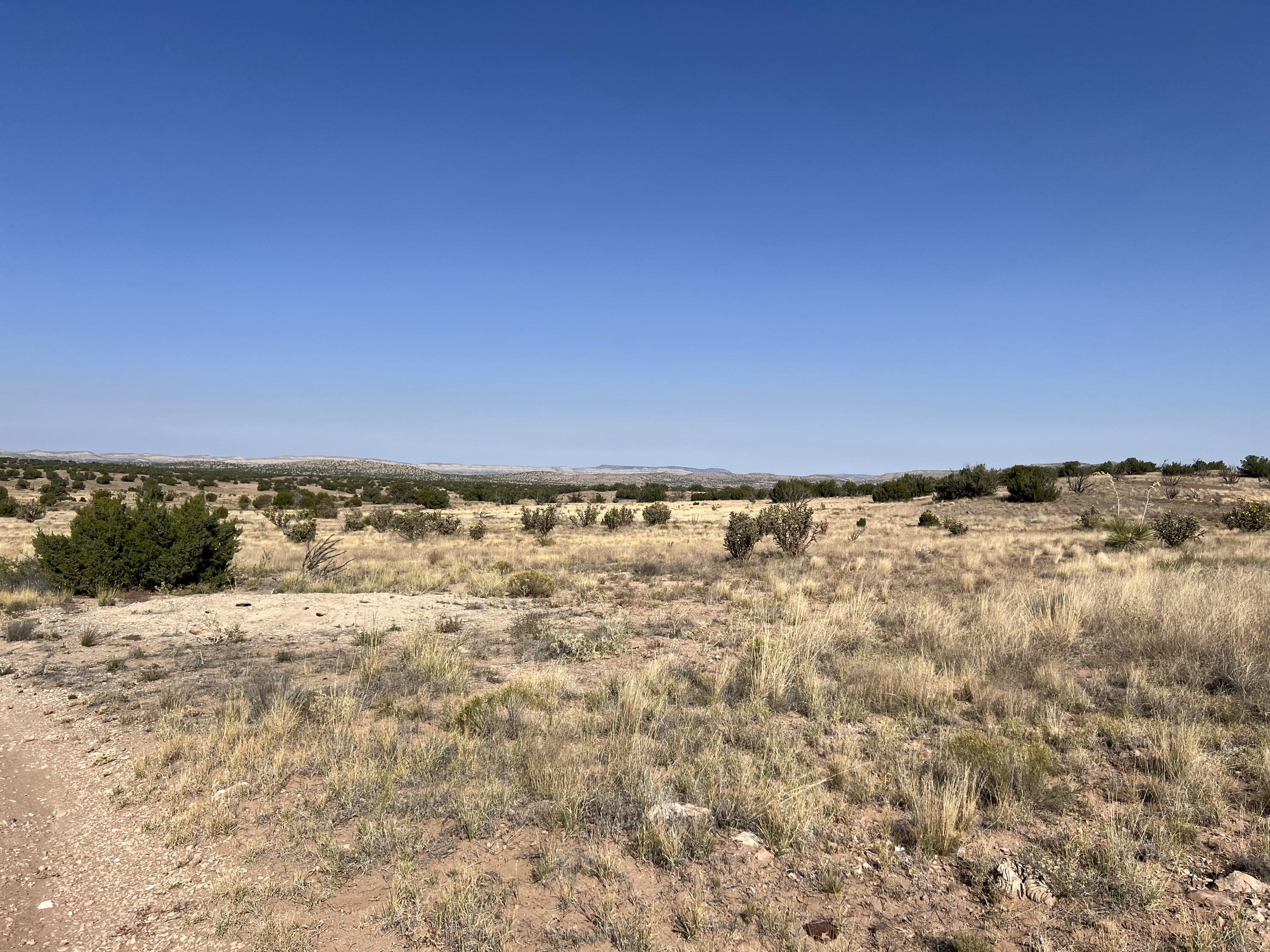 Photo 10 — Lot 3904 Blk 1 Valle De Manana