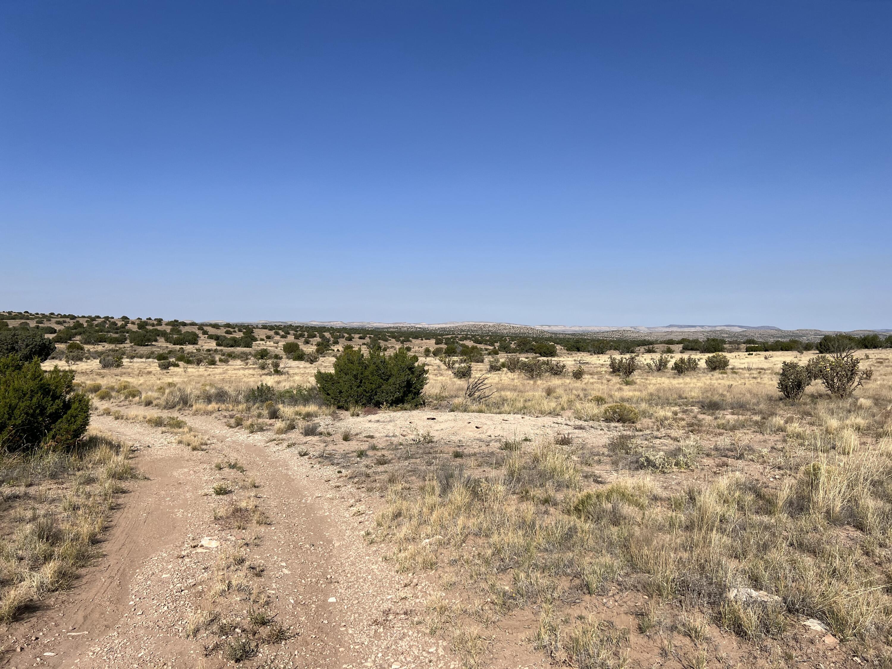 Photo 11 — Lot 3904 Blk 1 Valle De Manana