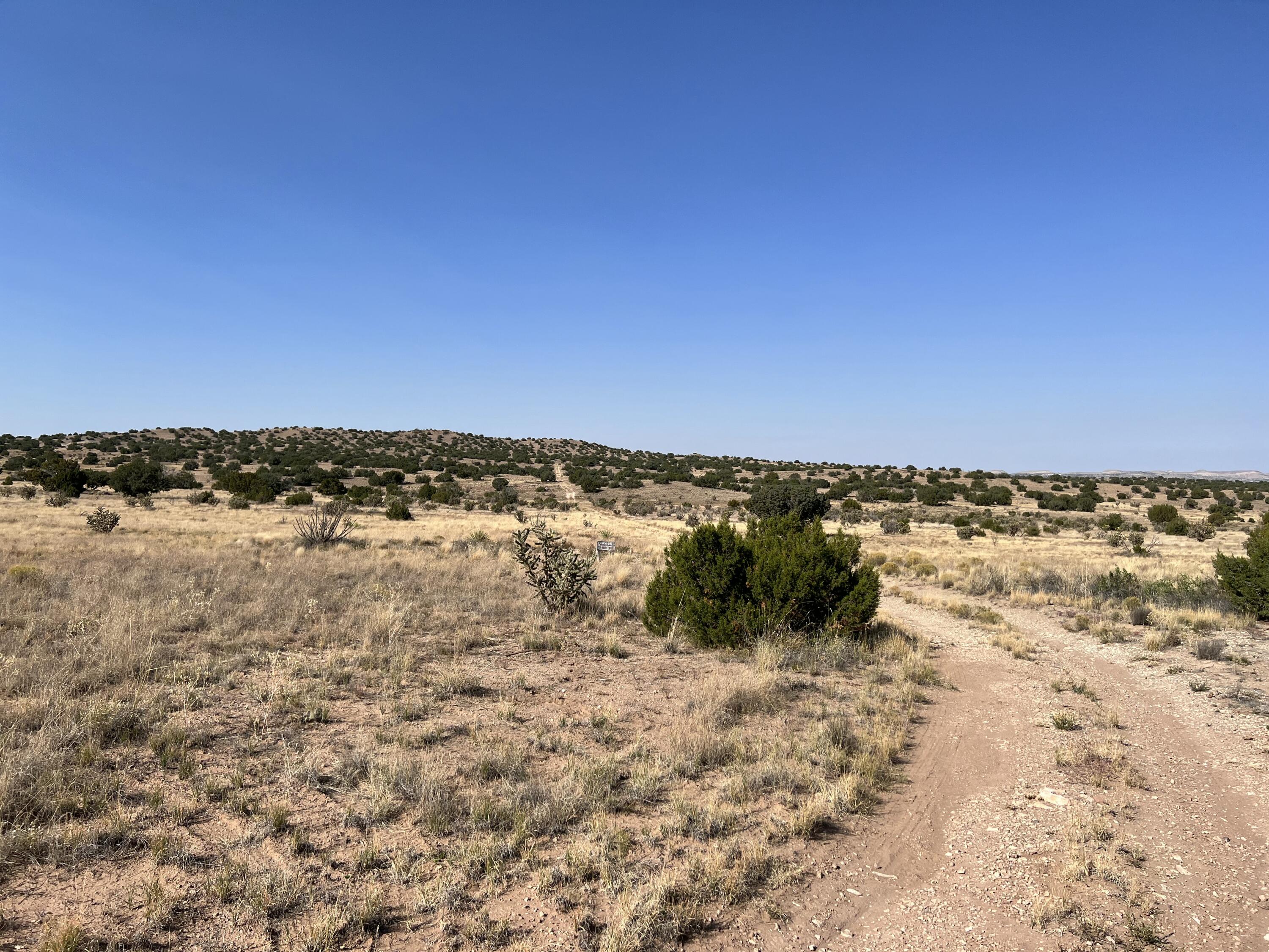 Photo 12 — Lot 3904 Blk 1 Valle De Manana
