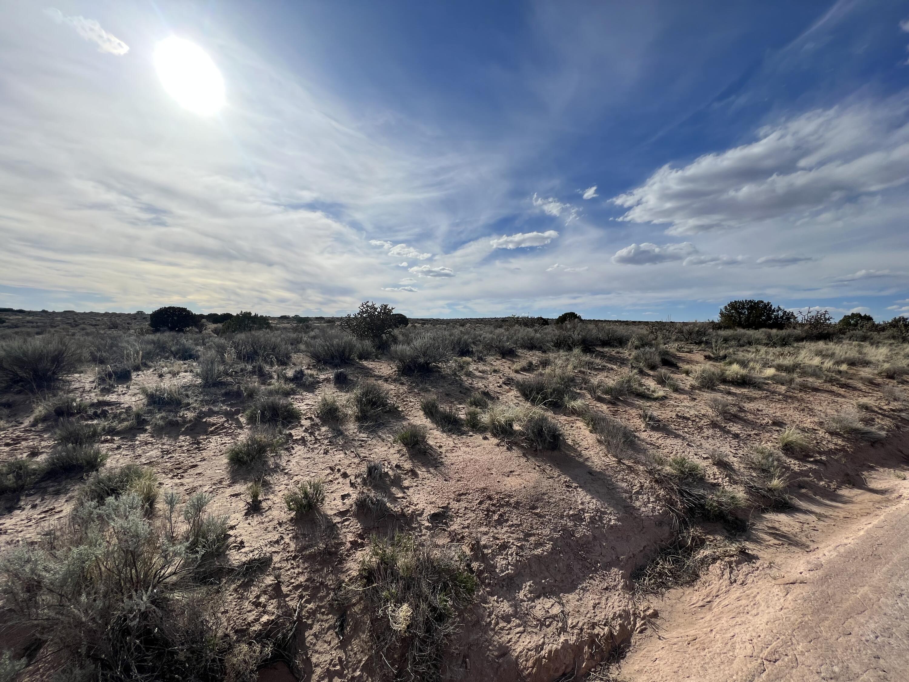 Photo 3 — 5019/5023 Villanelle Road