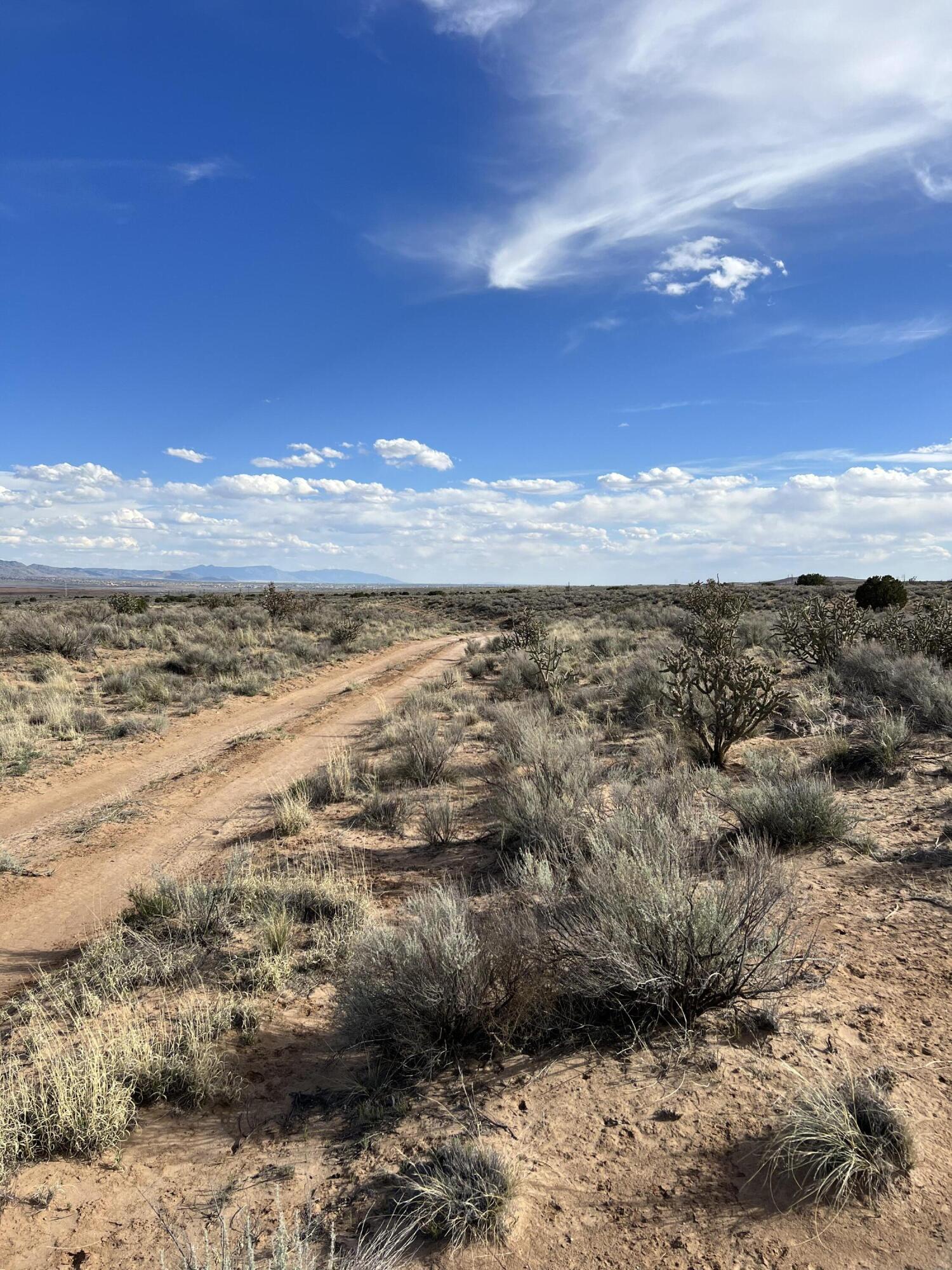 Photo 4 — 5019/5023 Villanelle Road