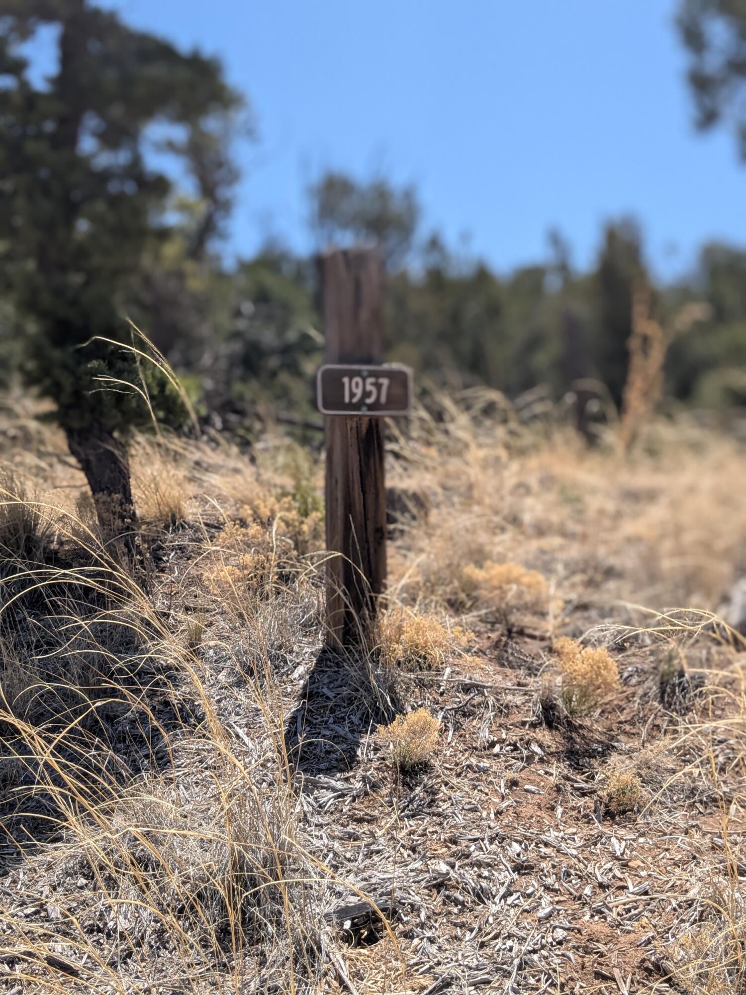 Photo 2 — 1957 DEER CANYON Trail