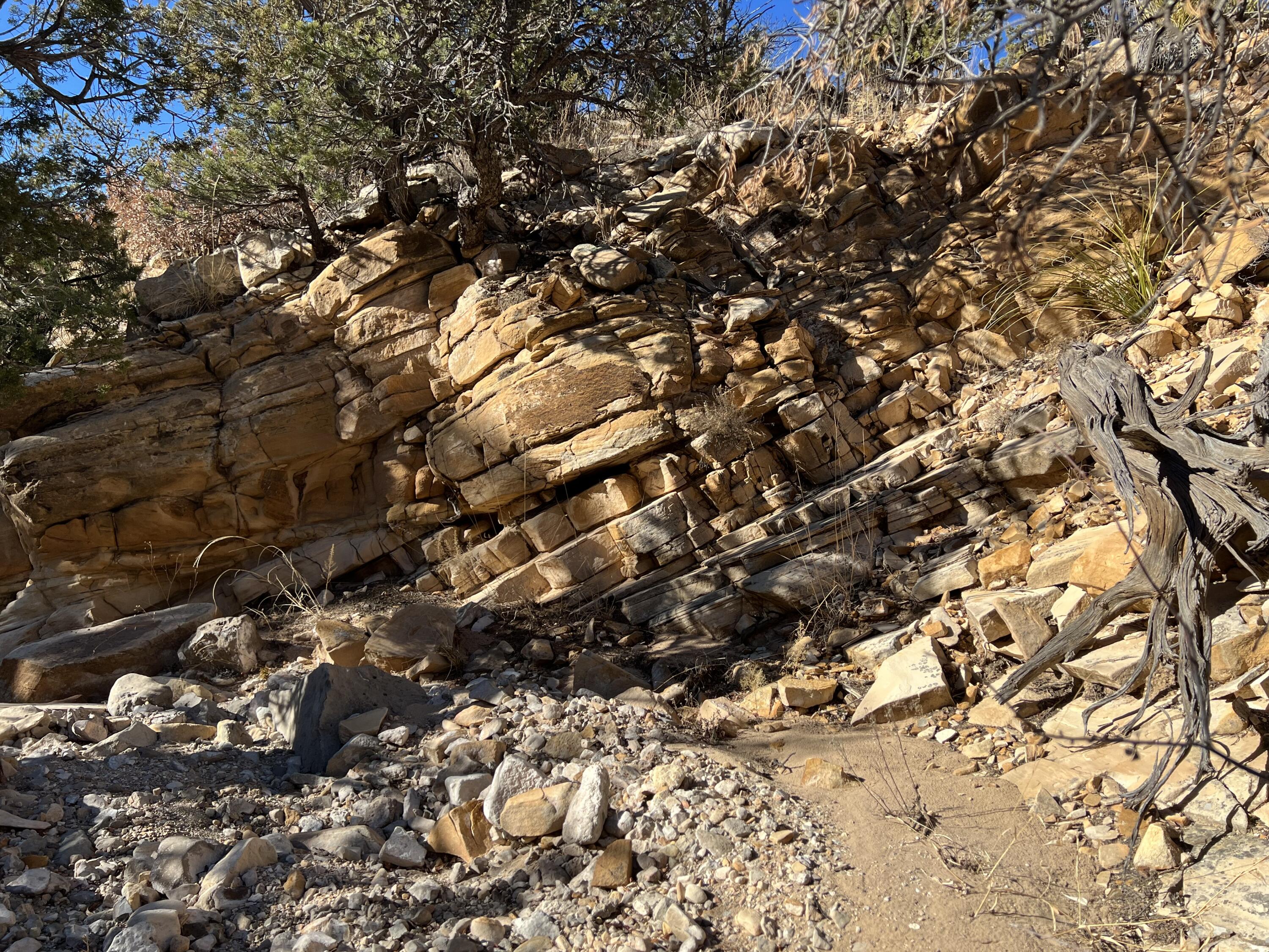 Photo 4 — 1957 DEER CANYON Trail