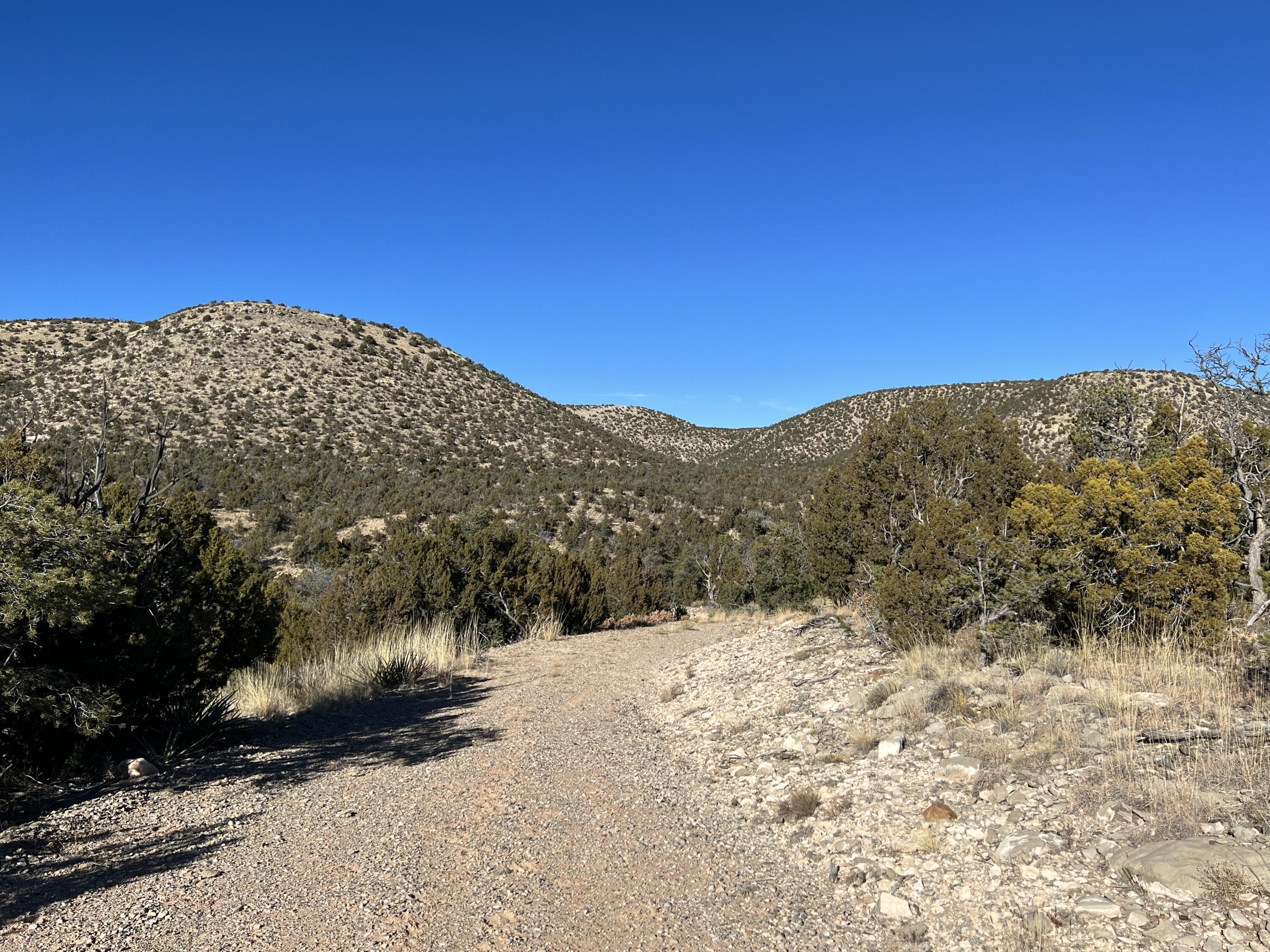 Photo 5 — 1957 DEER CANYON Trail
