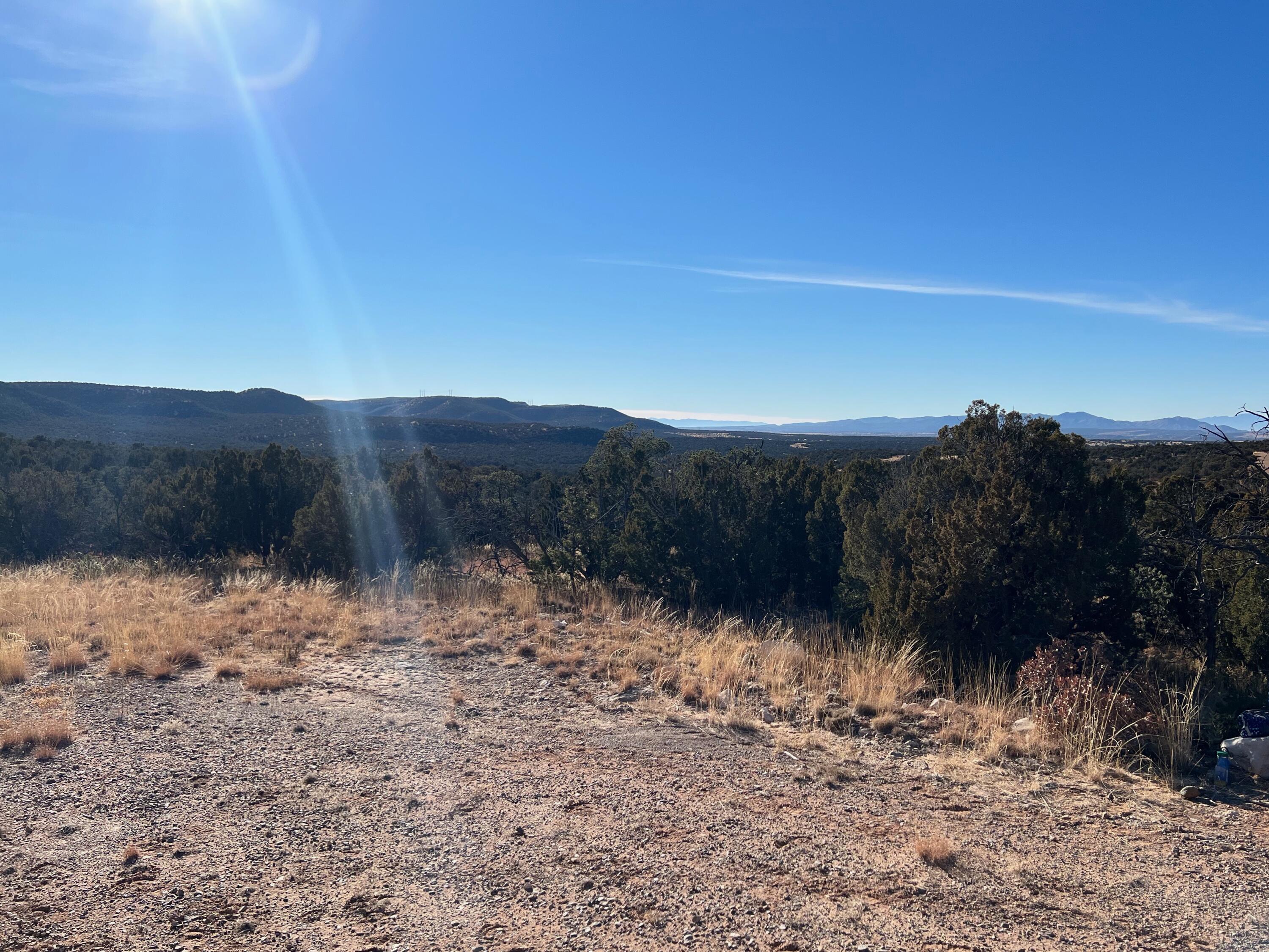 Photo 6 — 1957 DEER CANYON Trail