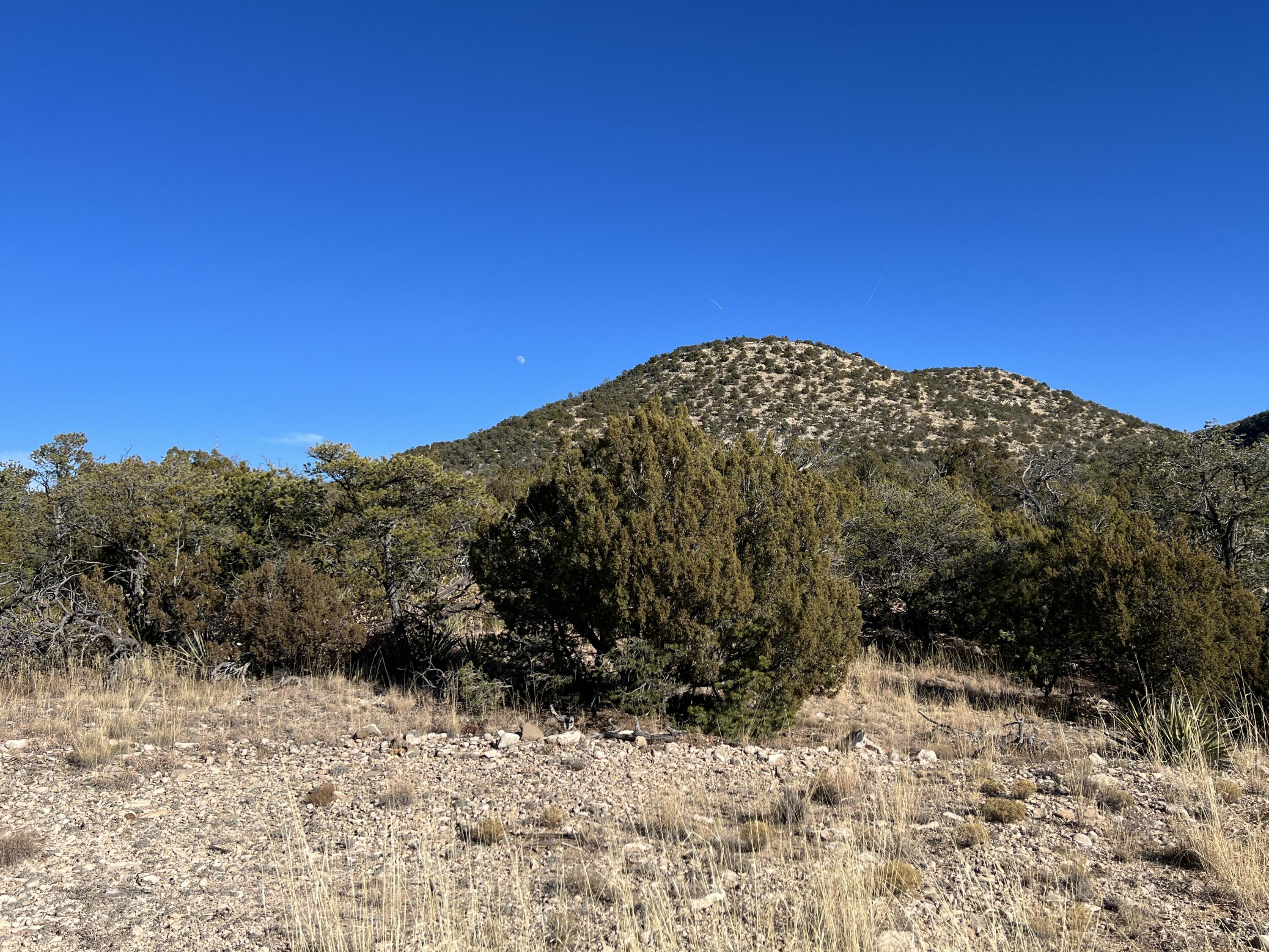 Photo 7 — 1957 DEER CANYON Trail
