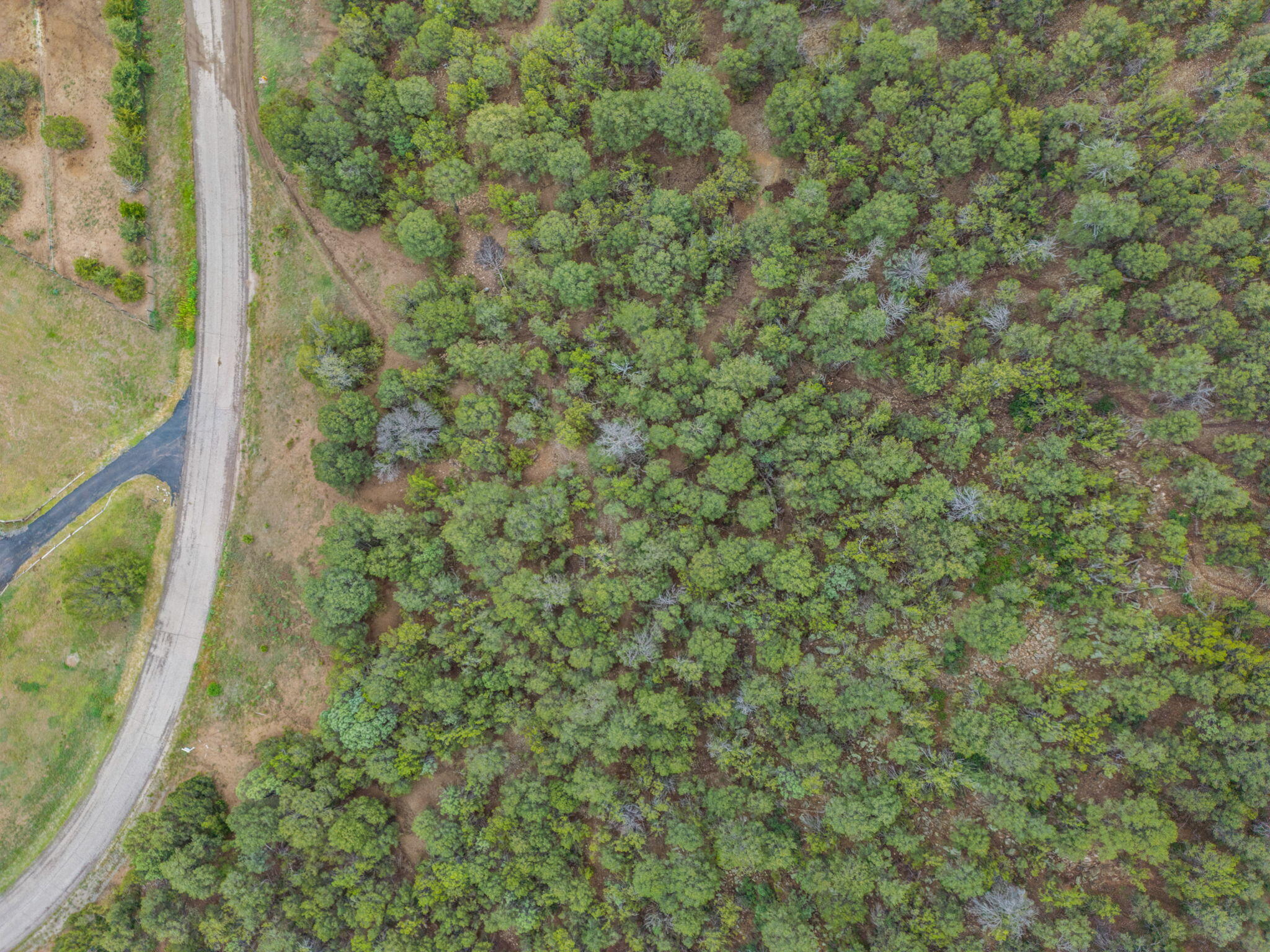 Photo 12 — 24 ANNE PICKARD Loop