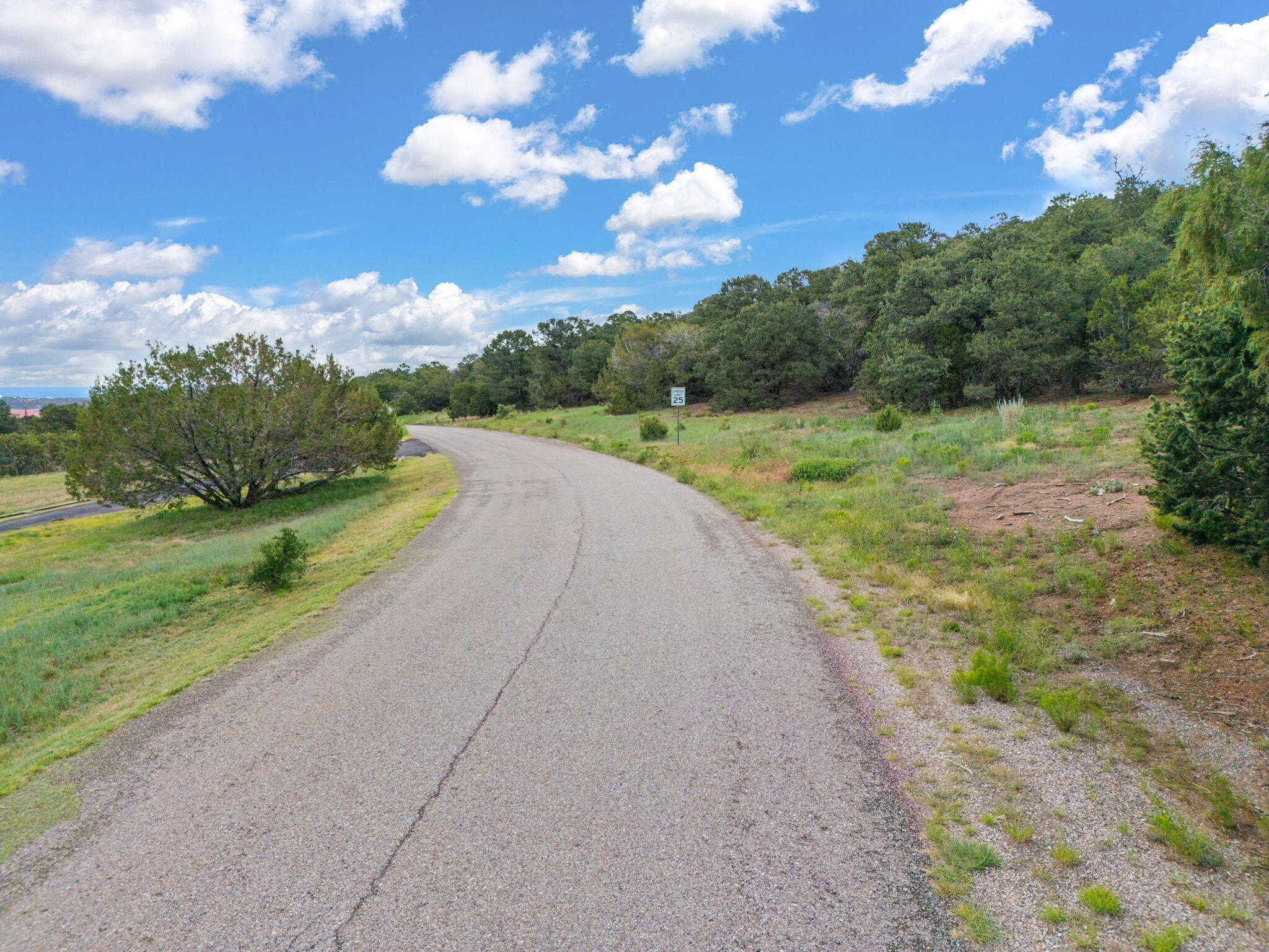 Photo 9 — 24 ANNE PICKARD Loop