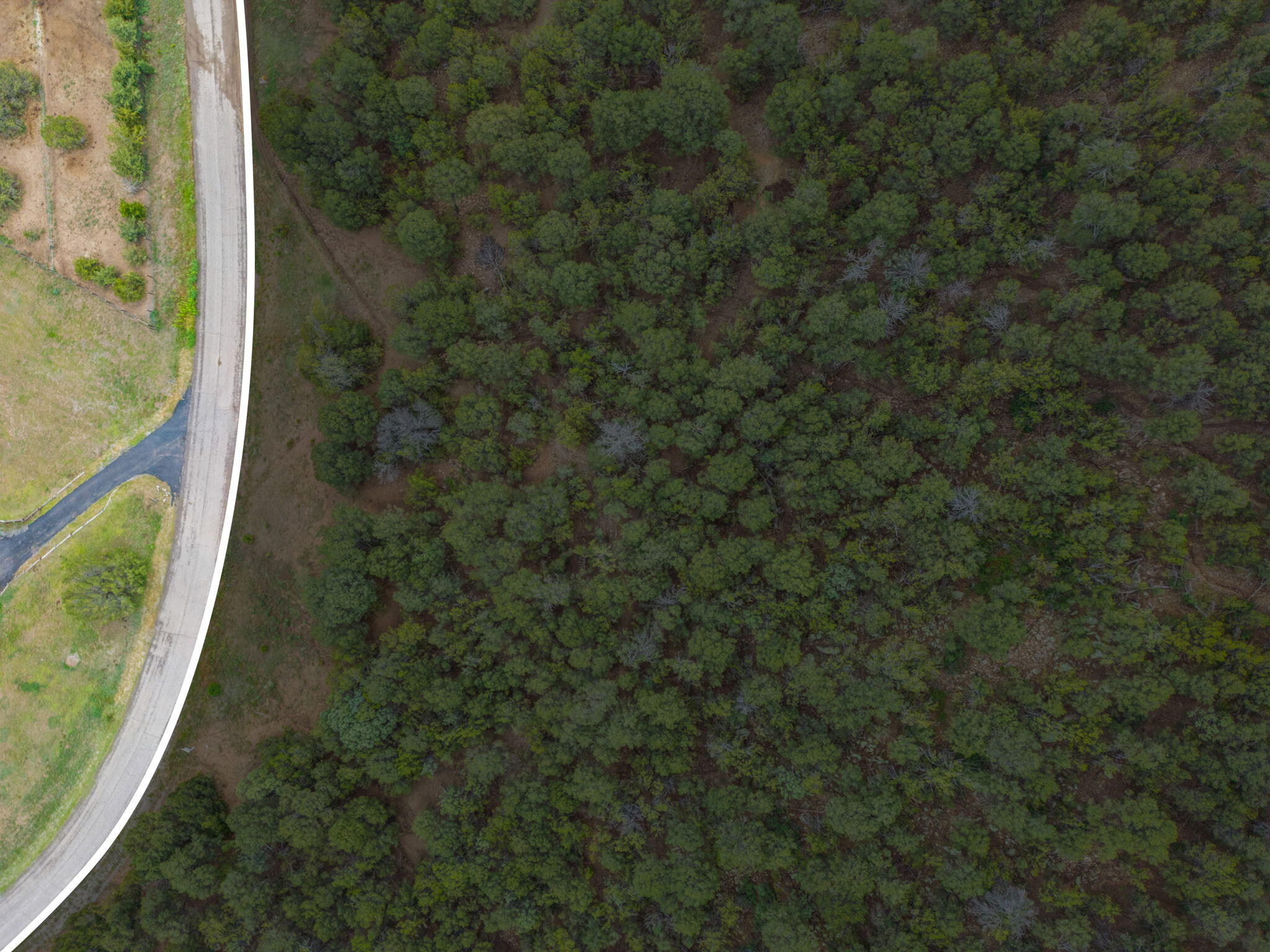 Photo 8 — 24 ANNE PICKARD Loop
